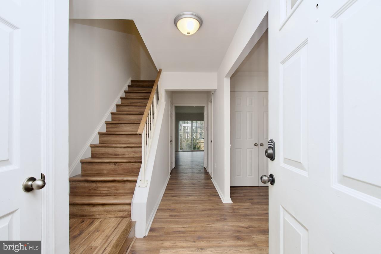 WEST SPRINGFIELD TERRACE - Residential