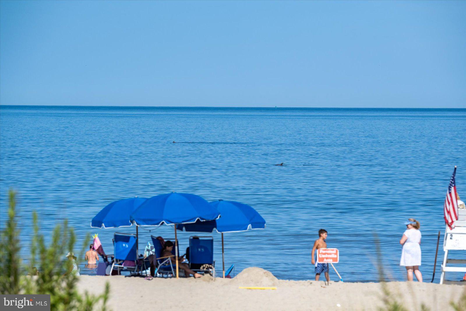 NORTH SHORES - Residential
