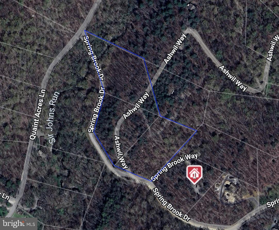 3 buildable lots totaling  6.152 acres. Lot 21 and 24 are class 1 septic systems(docs available), missing lot 23 paperwork so might need to be perced again to determine necessary system.  Lot 21: 2.01ac.  Lot 23: 2.14. Lot 24: 2.01.  Available to be purchased individually as well.

The lots are in between Quaint Acres Lane and 440 Springbrook dr.