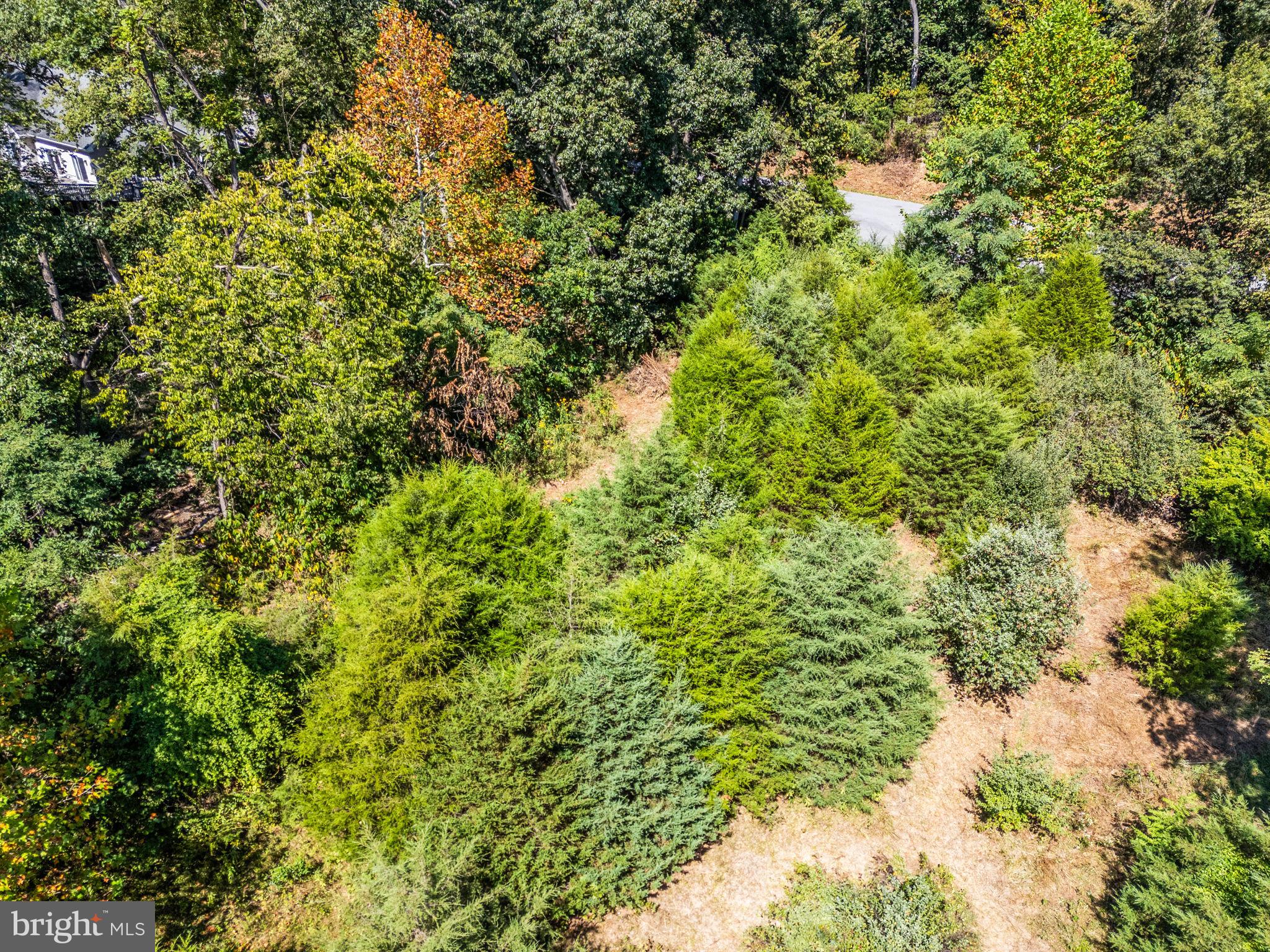 FERNBANK - Land