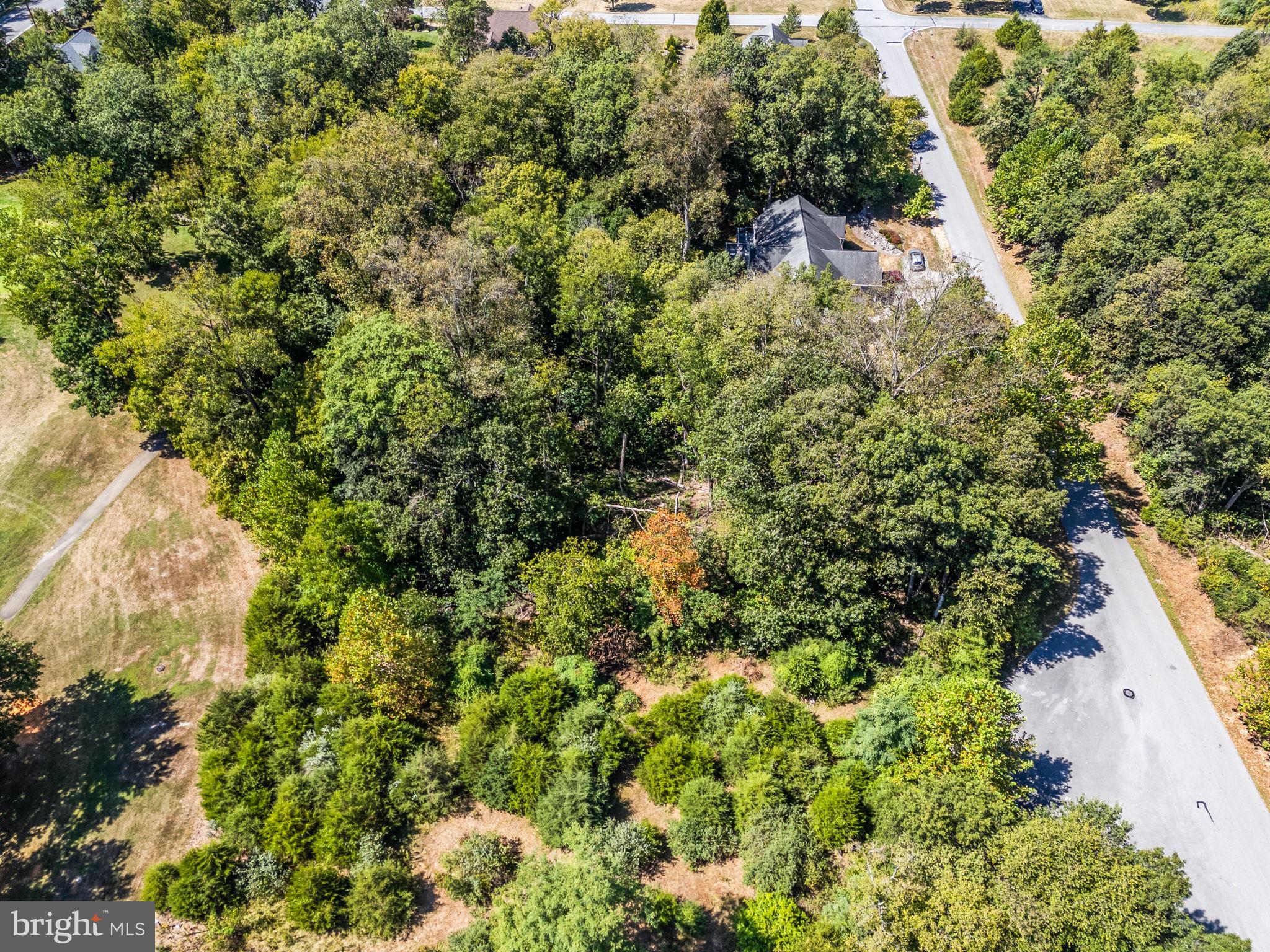 FERNBANK - Land