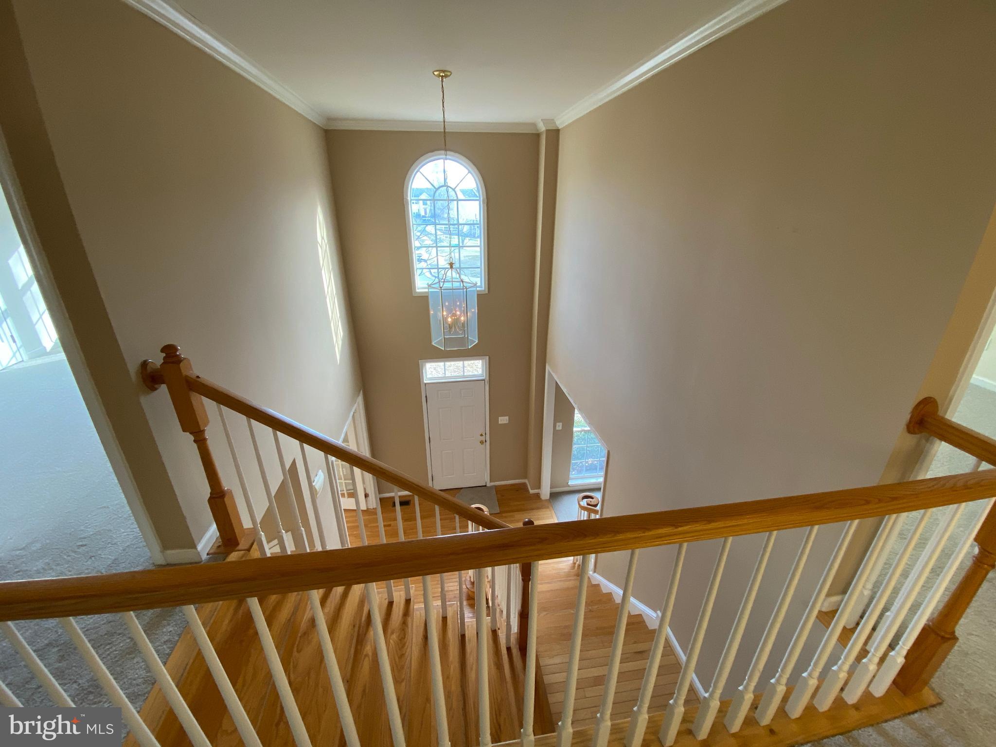 LEELAND STATION - Residential Lease