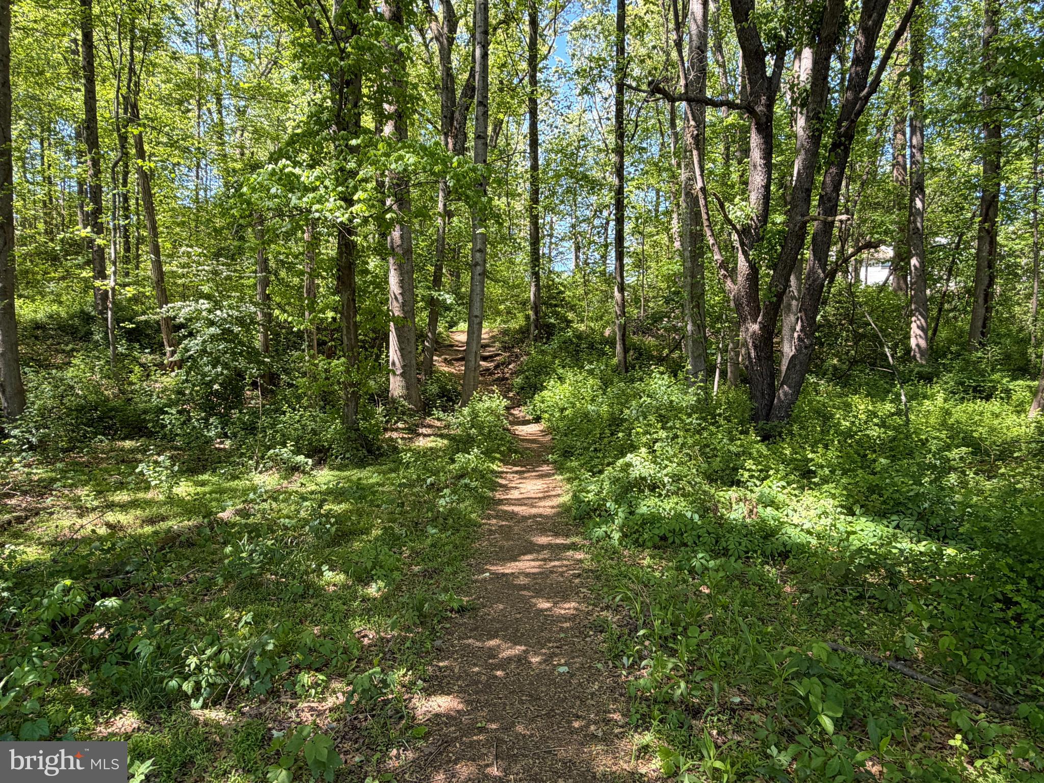 GLEN COVE - Residential