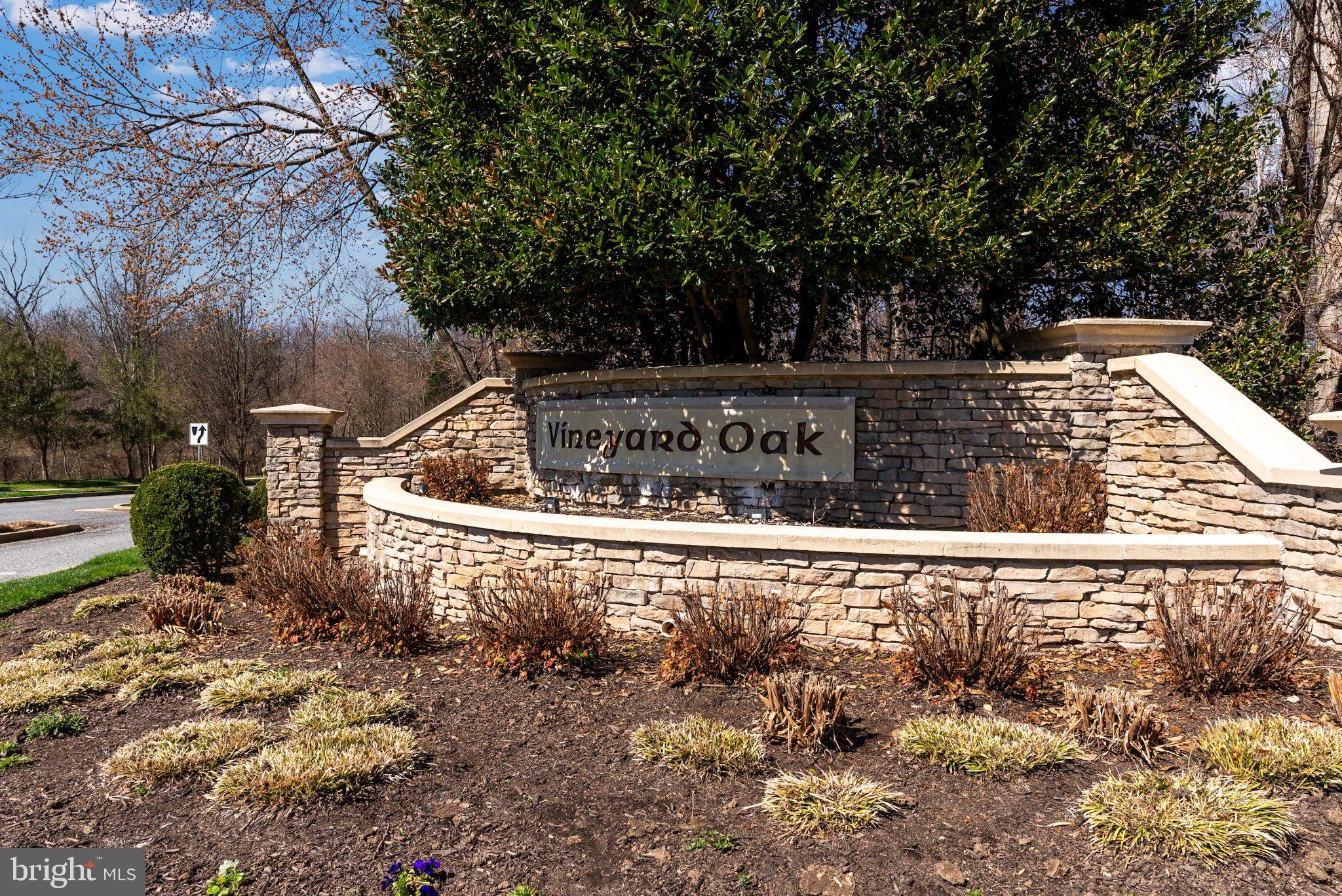 VINEYARD OAK - Residential