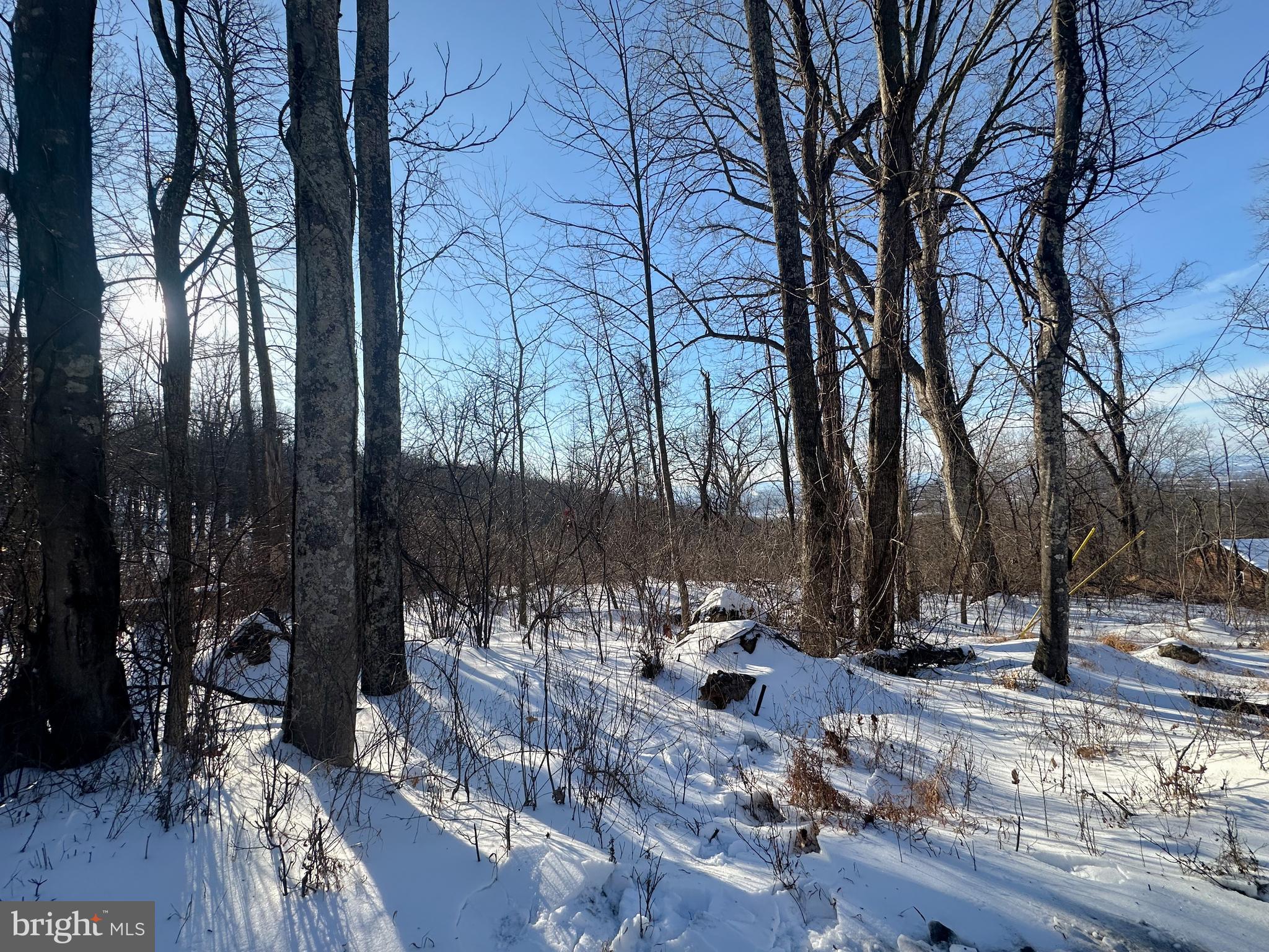 Lot 71 High Top Rd. offers 0.46 acres nestled in the heart of the Shenandoah Farm Mountain View community. With over 7,000 acres, Shenandoah Farms is one of Virginia’s largest communities, located at the crossroads of Clarke, Fauquier, and Warren Counties, stretching along the Shenandoah River and across Blue Mountain.
Enjoy the peace of nature while remaining conveniently located just 20 minutes from Front Royal, Winchester, Berryville, or Middleburg. It is conveniently located near I-66 for commuting, roughly 60 miles from Dulles International Airport. The community features stunning mountain views, riverfront areas, two private lakes, and numerous recreational spaces. Residents and visitors alike enjoy fishing, boating, swimming, hiking, and the tranquility of the surrounding woods.
Whether you’re seeking a weekend retreat or a future homesite, this property offers the perfect blend of natural beauty, recreation, and accessibility in a highly sought-after mountain setting. All sizes are approximate.
