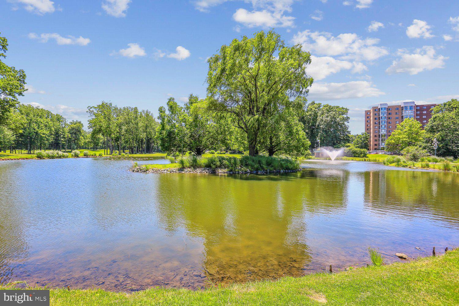 GREENS AT LEISURE WORLD - Residential