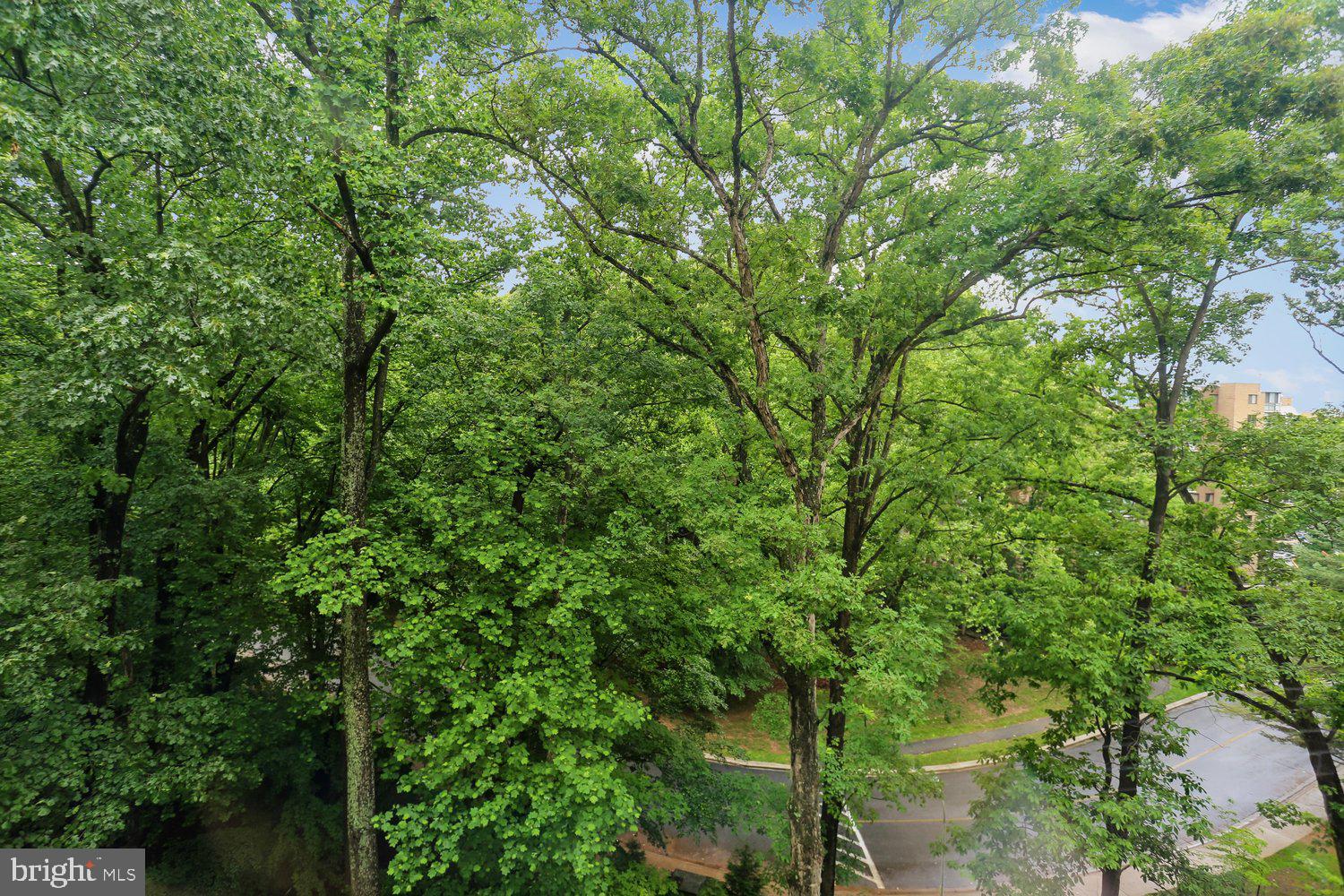 GREENS AT LEISURE WORLD - Residential