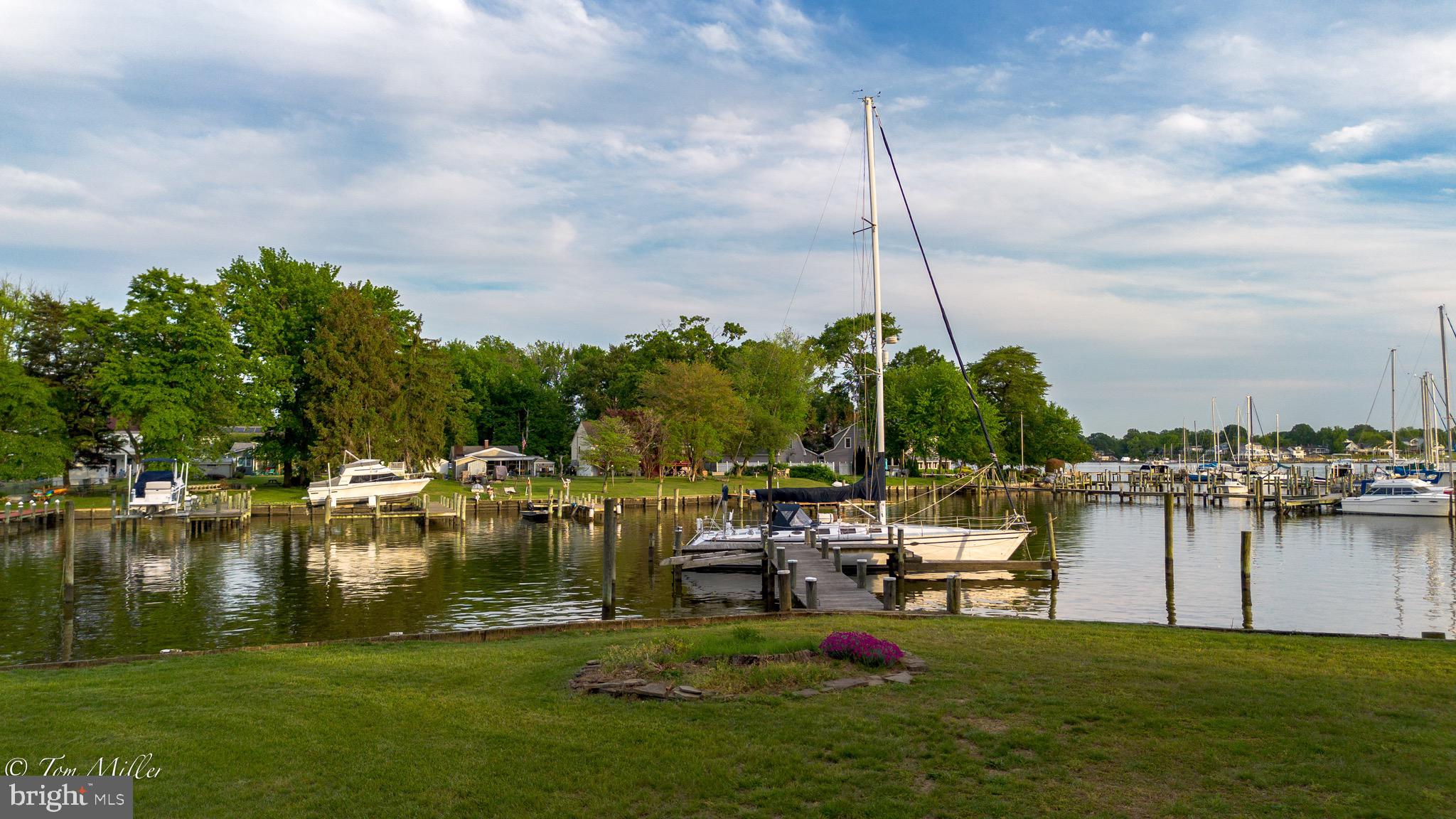 WILSON POINT - Residential