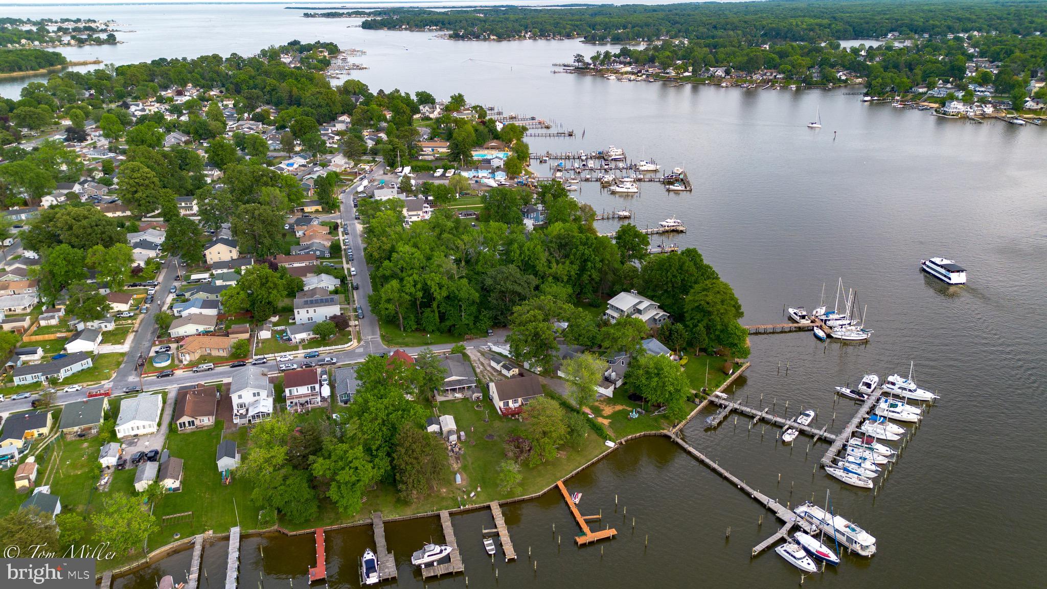 WILSON POINT - Residential
