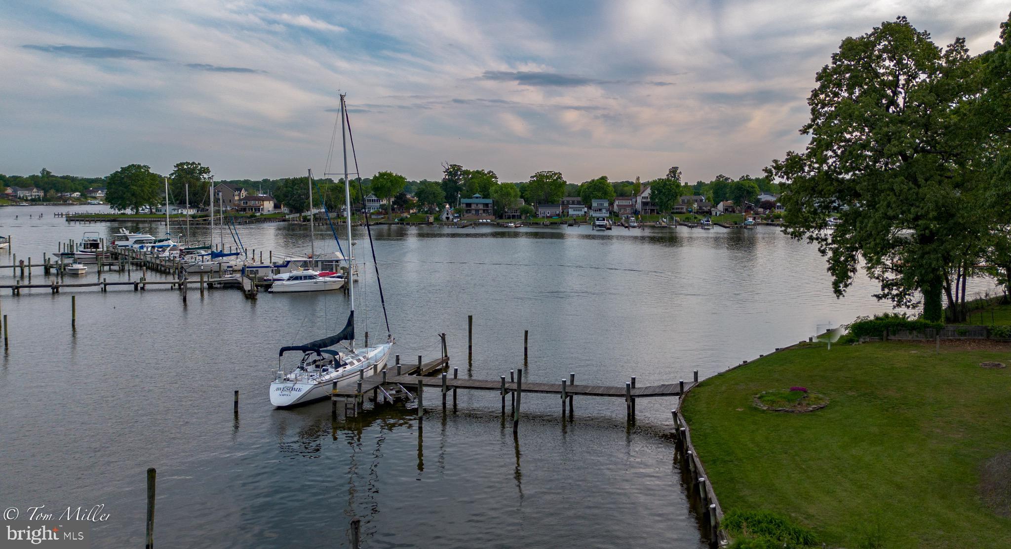 WILSON POINT - Residential