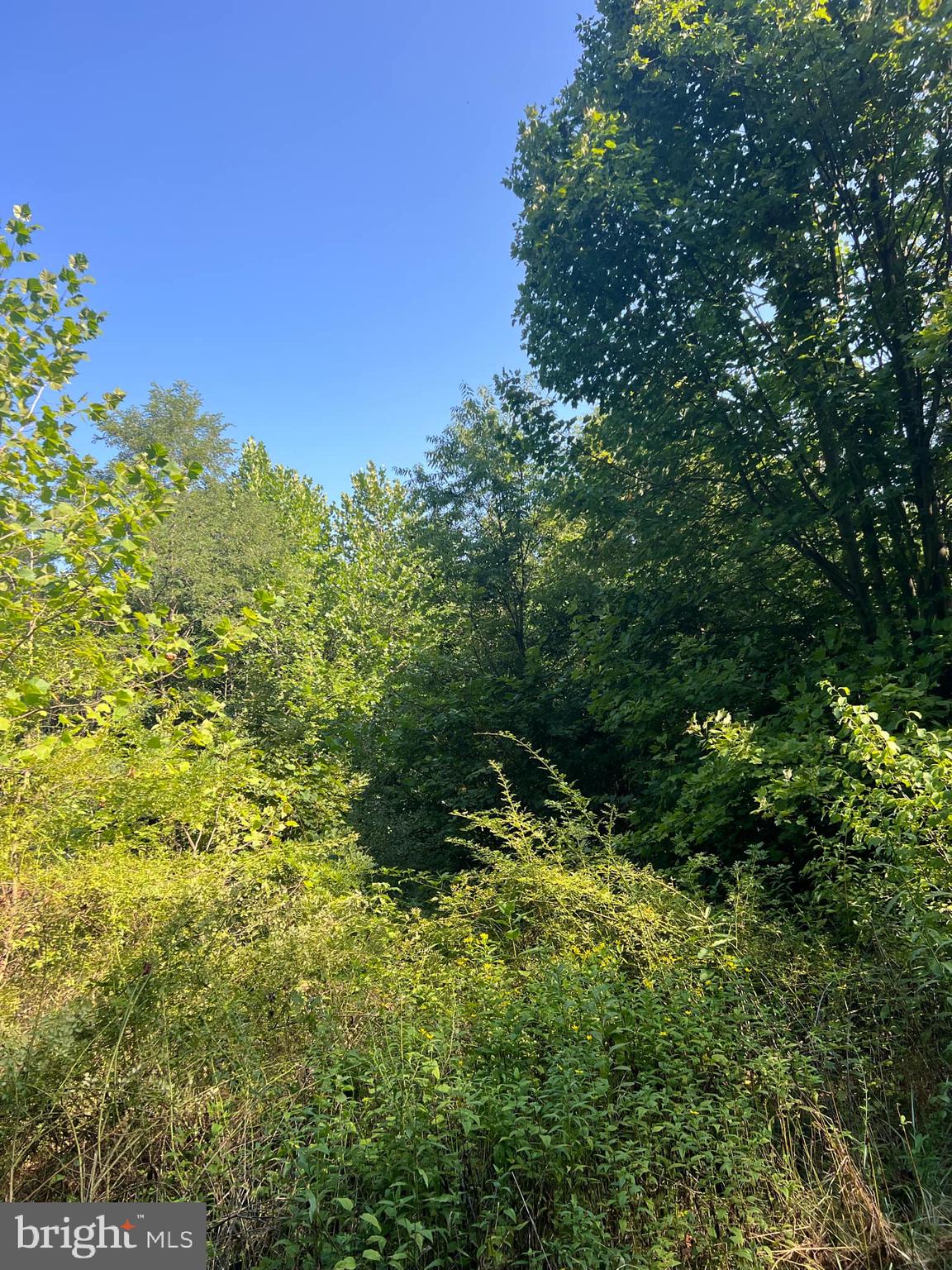 What a great find ! 7.6 acres of beautiful mostly level property W/hard cap road frontage, stream ,woods and easy access! This one has it all ! Did I mention this property is totally UNRESTRICTED !! Hunt ,fish, shoot ,ride your ATV's .Build your dream home or just pitch a tent and do some country star gazing in your own backyard! Properties like this a extremely hard to find and don't last long so come to Wild, Wonderful ,West Virginia and live like a free man ! But remember he who hesitates has already lost so lock this beautiful parcel up quick !!