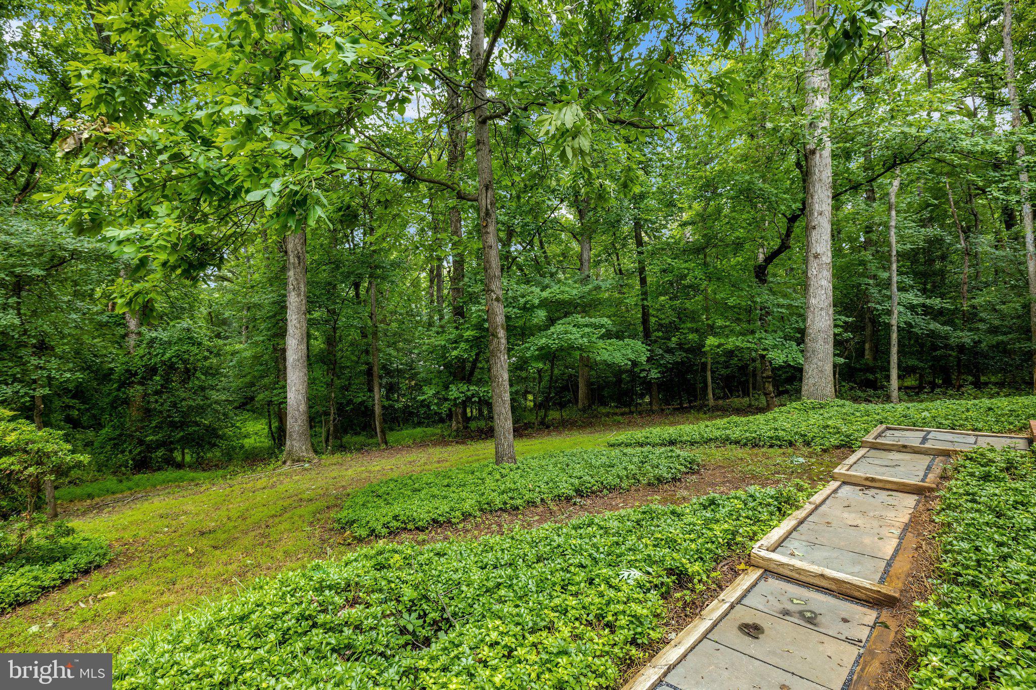 SPRINGVALE MEADOWS - Residential