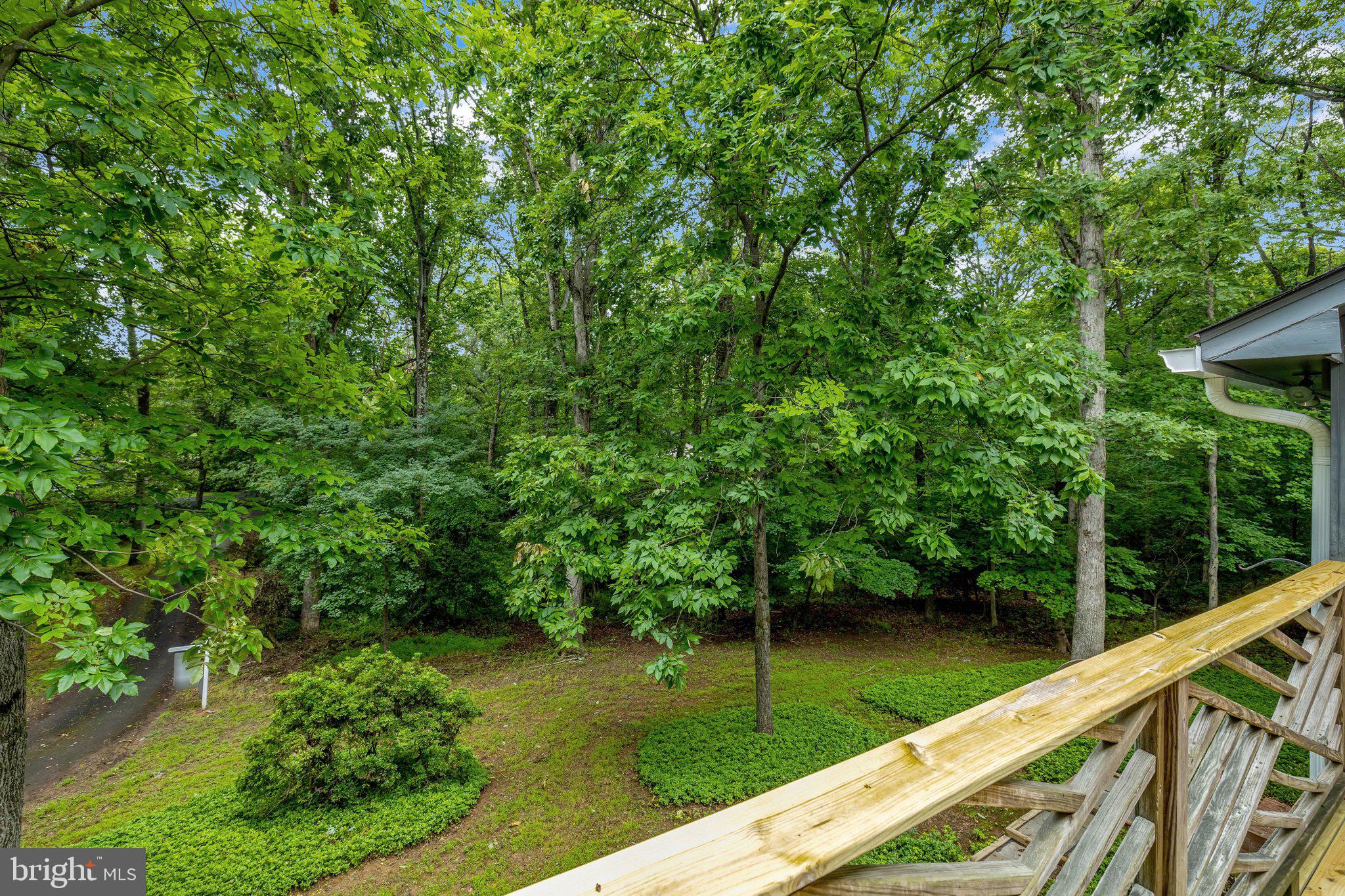 SPRINGVALE MEADOWS - Residential