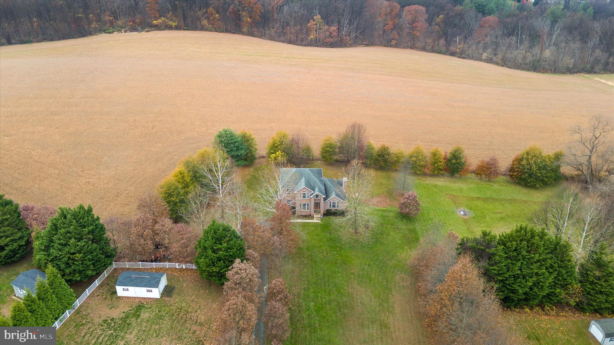 MONTGOMERY'S FRIENDSHIP - Farm