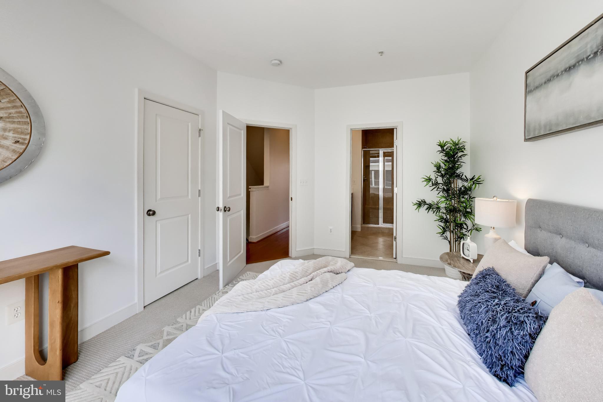 ARTS DISTRICT HYATTSVILLE - Residential