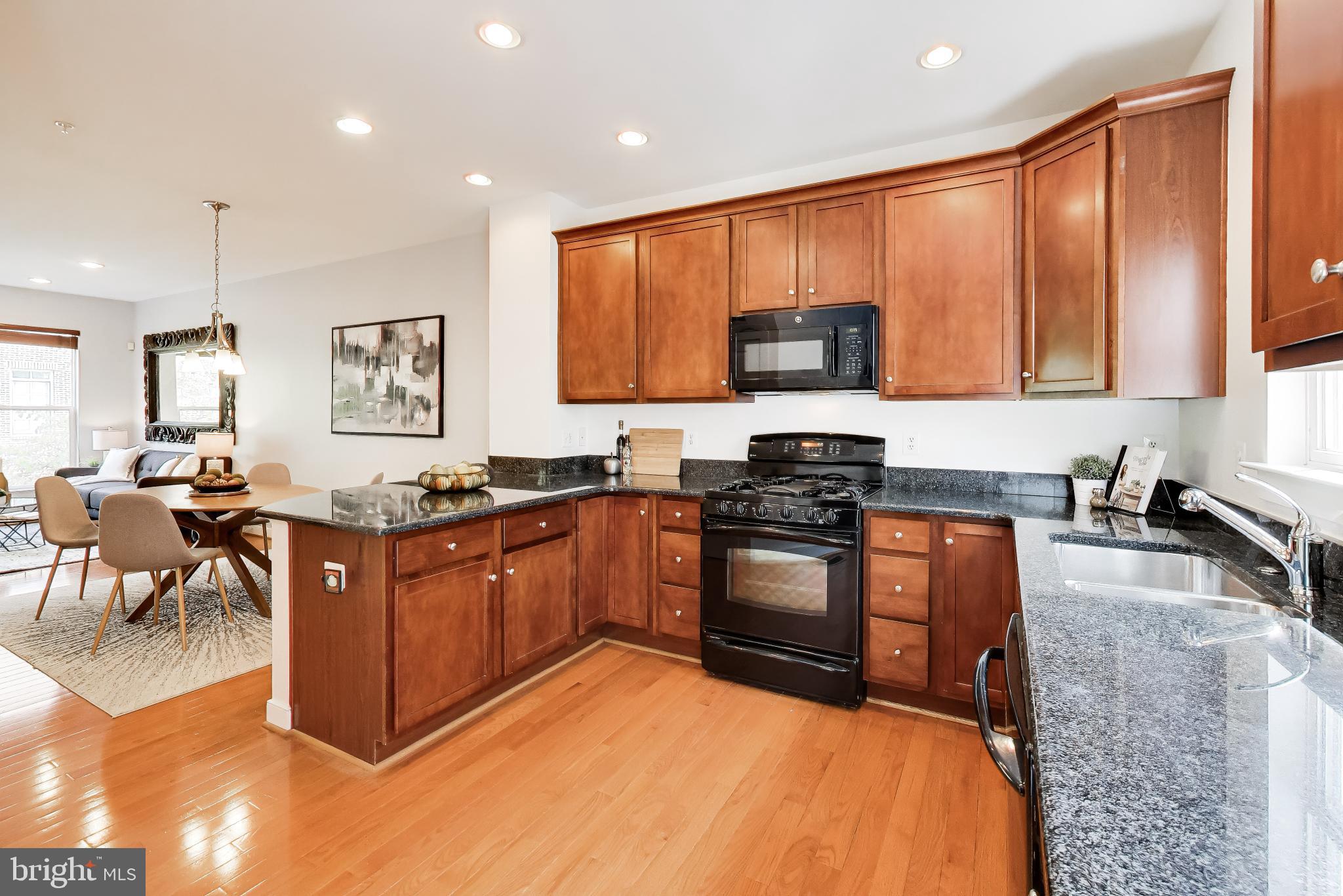 ARTS DISTRICT HYATTSVILLE - Residential