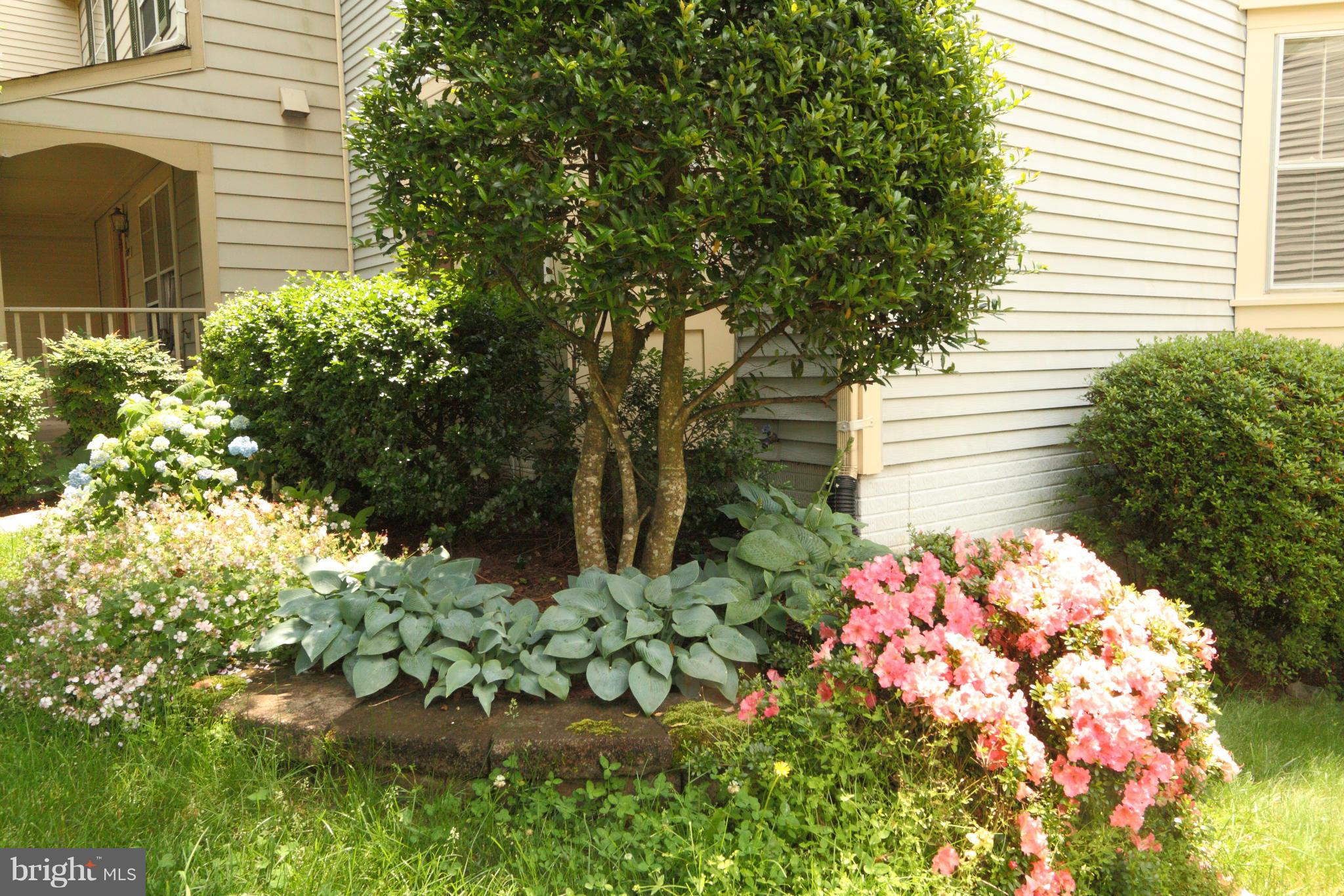 MONTCLAIR - Residential