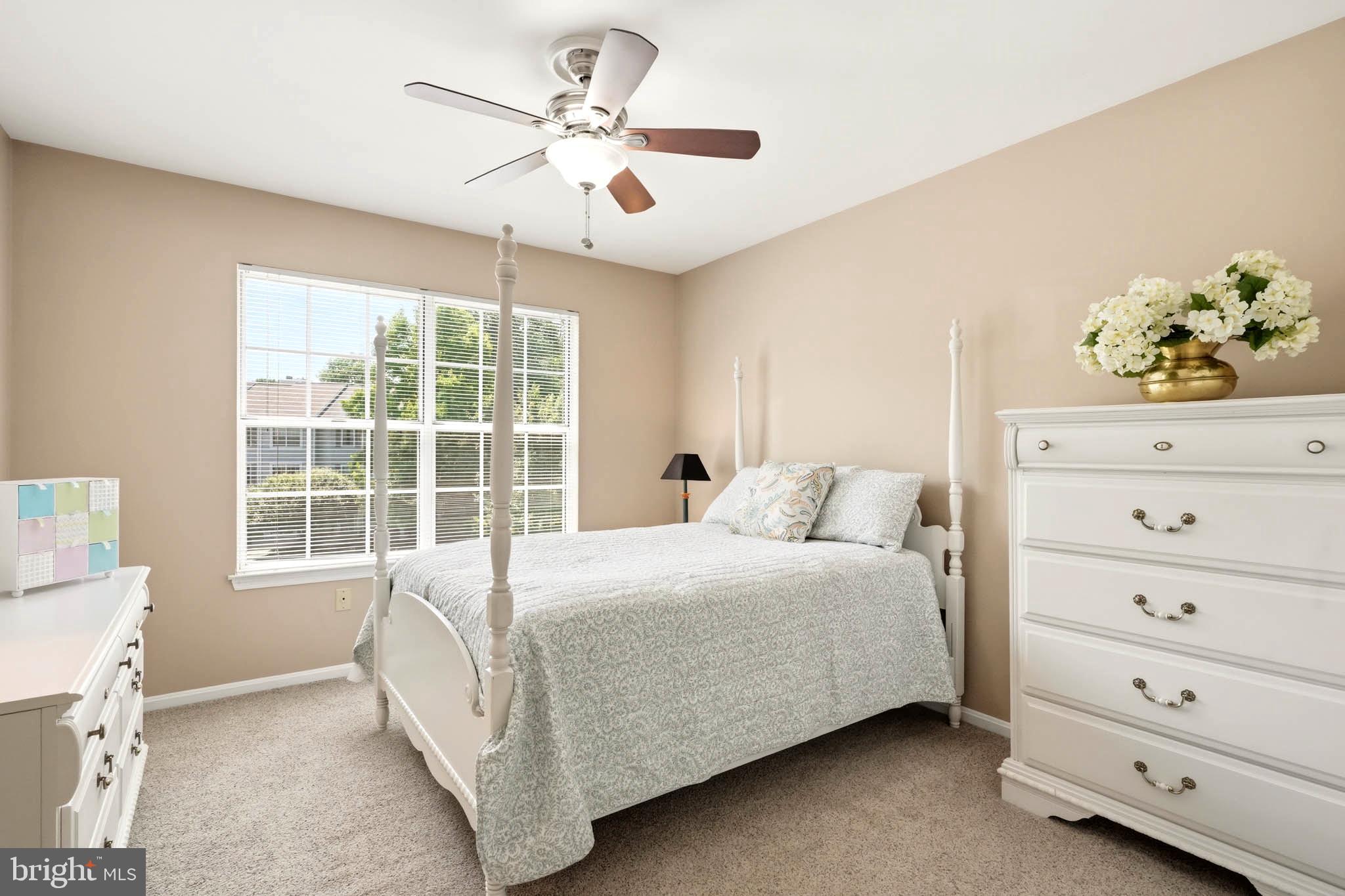 DORSEY SEARCH - Residential