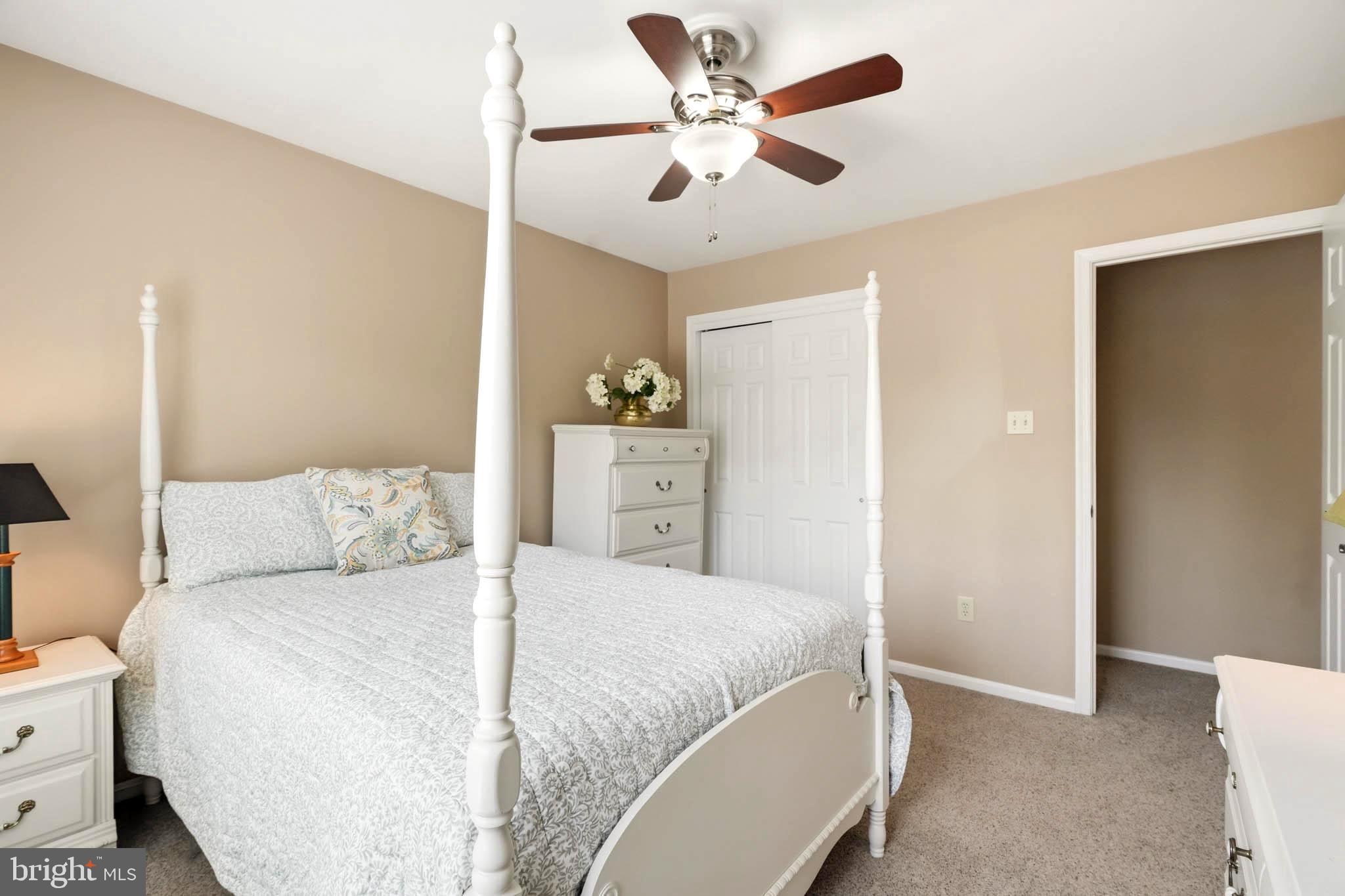 DORSEY SEARCH - Residential