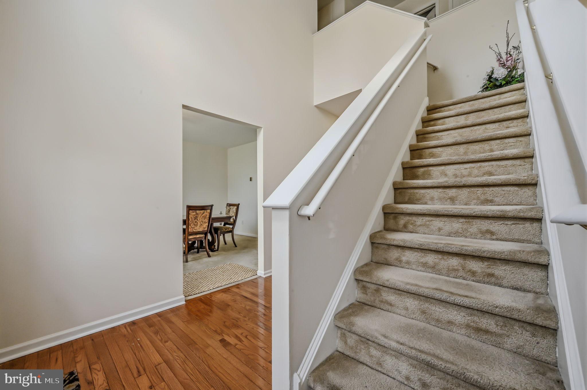 MALLARD POINTE - Residential