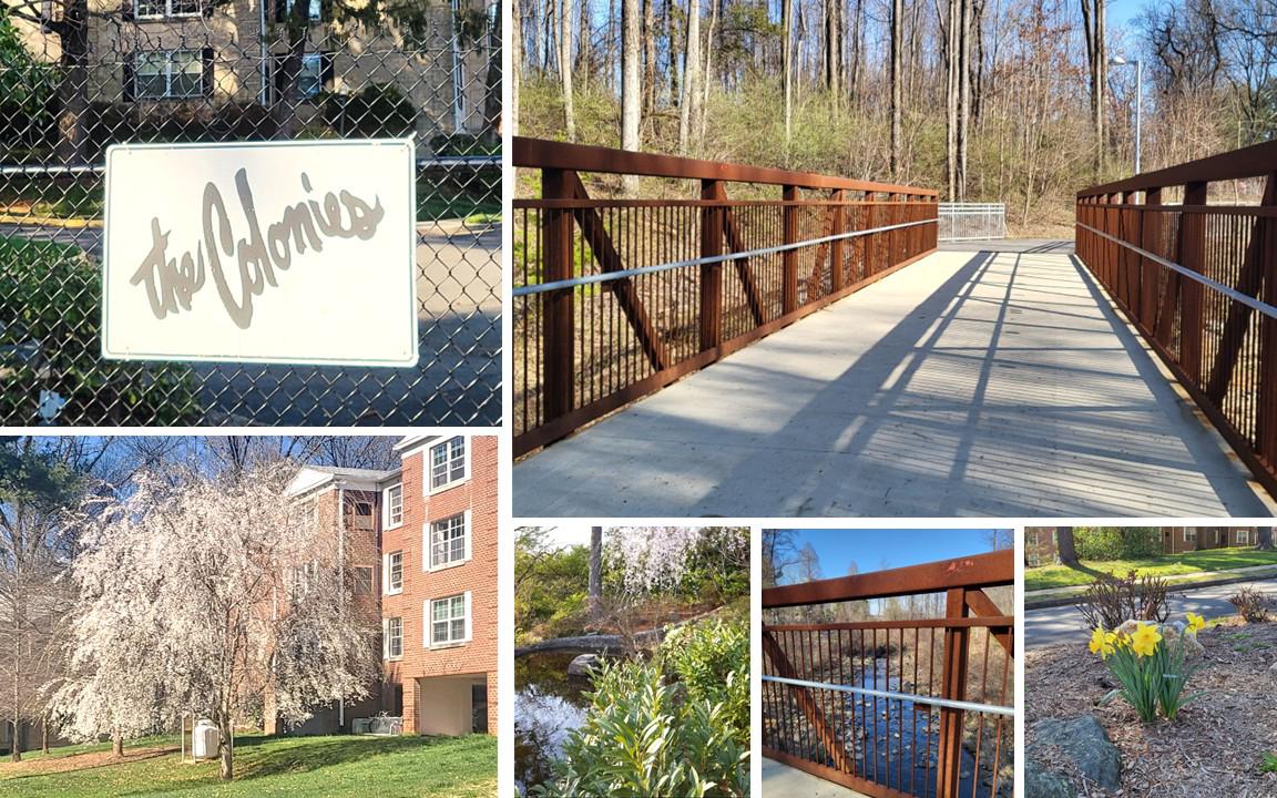 COLONIES AT MCLEAN - Residential
