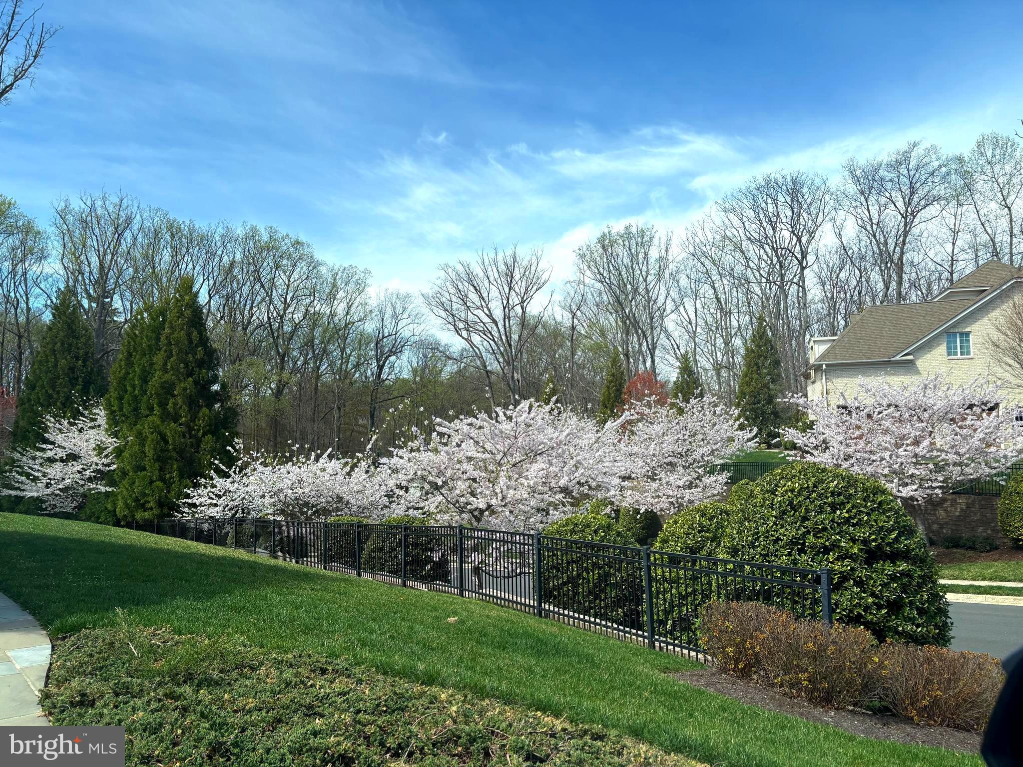 THISTLE RIDGE - Residential
