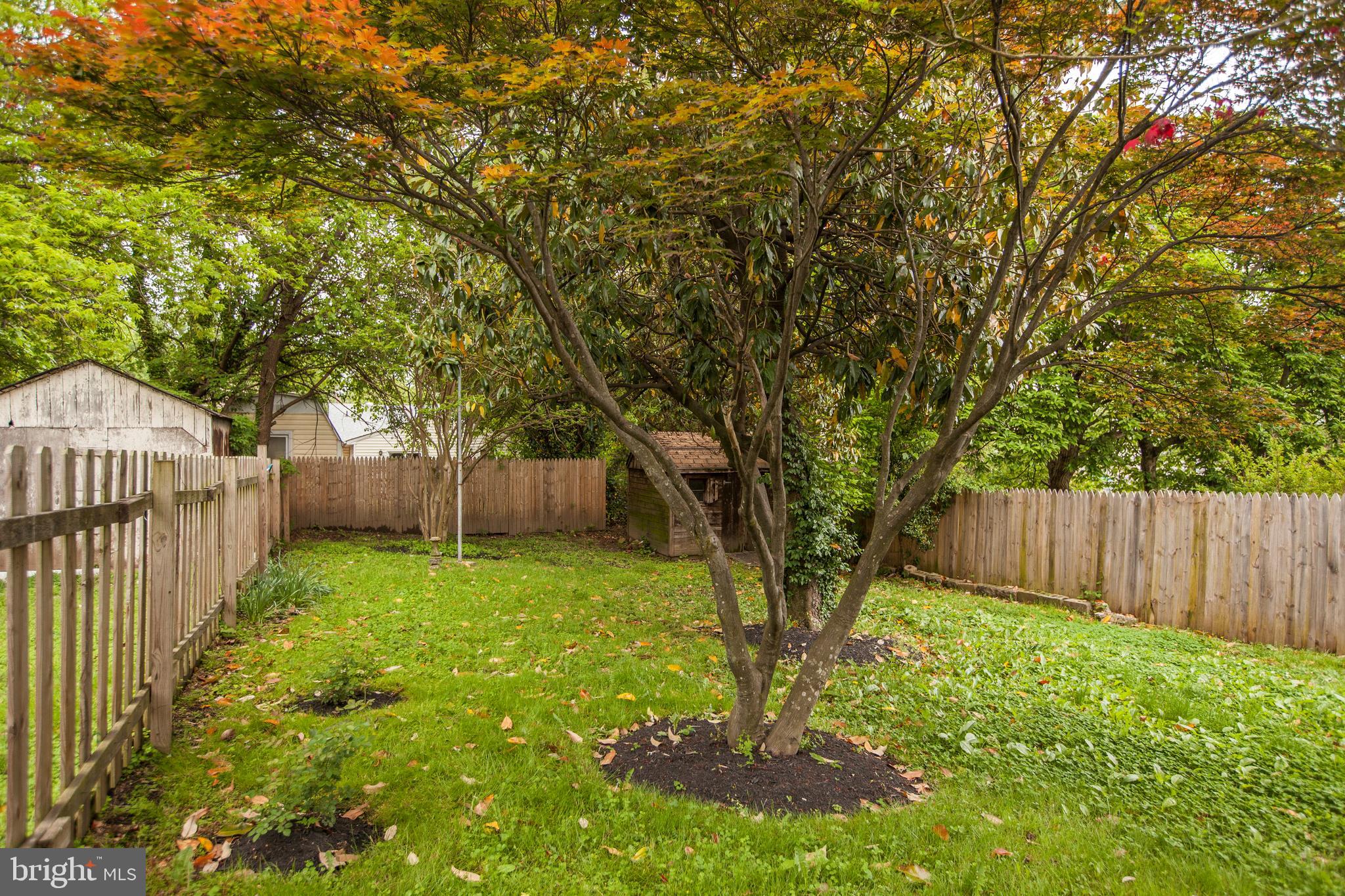 MT RAINIER- RHODE ISL AV - Residential