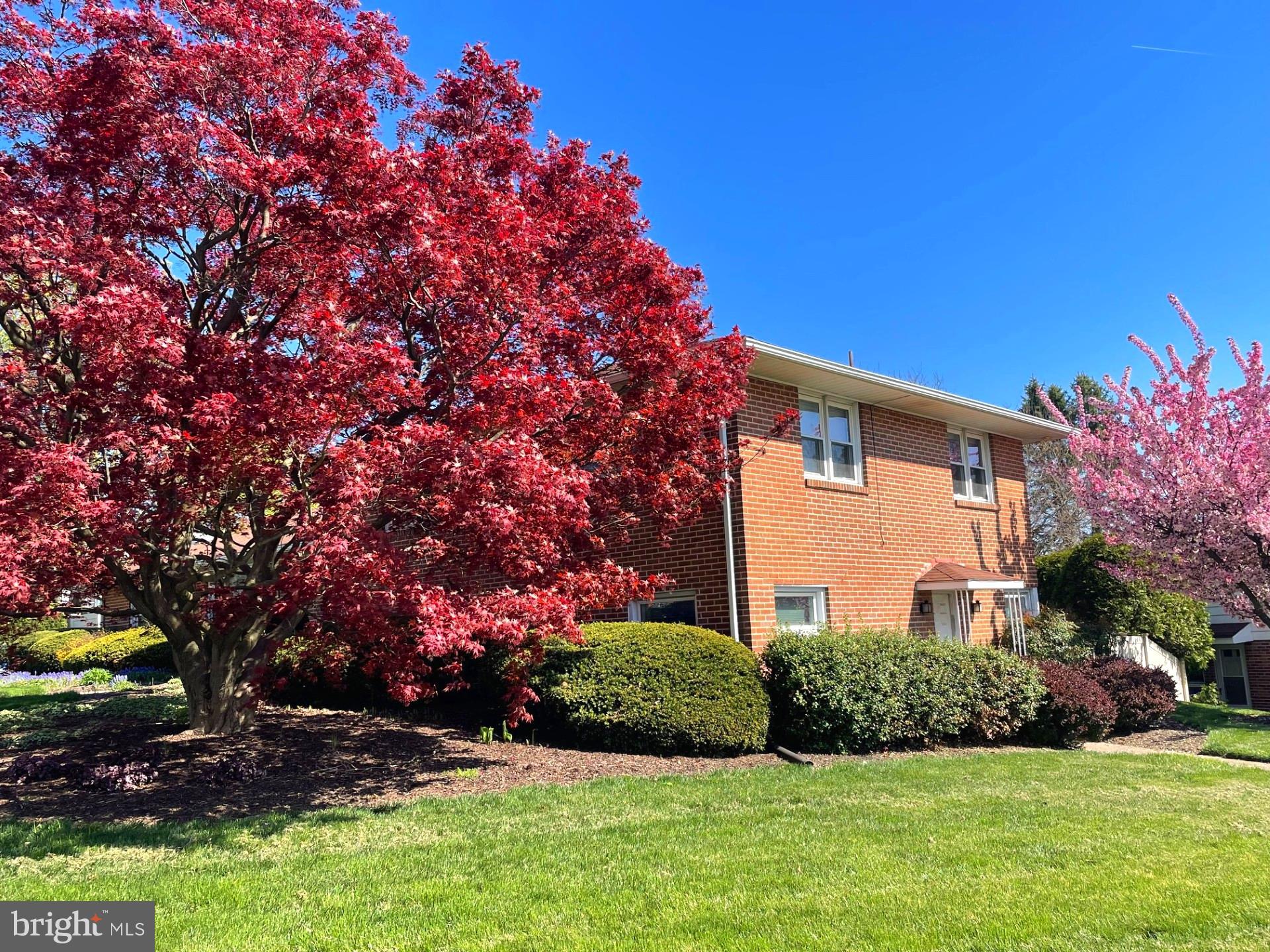 HILL STREET - Residential