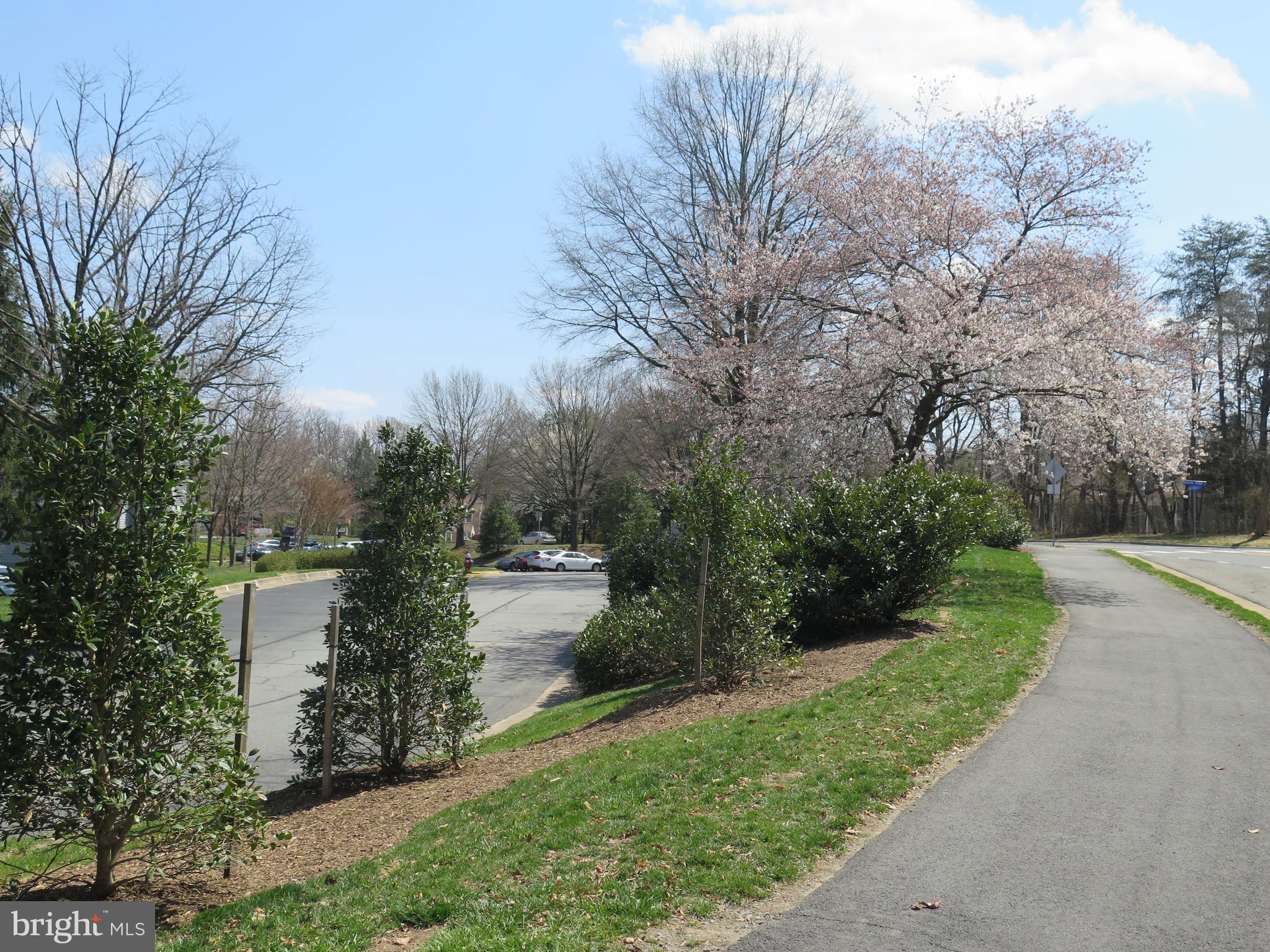 SUMMERRIDGE - Residential Lease