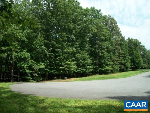 You're looking at Lot 38A from within the cul-de-sac. Sweet! A total of 13 lots are for sale in this SPECTACULAR, upscale neighborhood in the prestigious Foxwood Forest Subdivision! This is the final phase of this well-established community in Albemarle County. Lush, maturely wooded views, 2+ acres, nicely situated on cul-de-sac roads. Enjoy neighborhood walks in a park-like setting. Have a builder already?  No problem.  Simply purchase the lot and build away!  Need a builder?  We can help!  We can recommend builders that have every design imaginable to FIT YOUR BUDGET. Pick out your favorite lot, then meet with our experts to design, plan, and ultimately build a DREAM home that suits your lifestyle.  Foxwood Forest is 1 mile from Preddy Creek Park; a 571-acre park offering 16 miles of trails for mountain biking, hiking, running, & horseback riding. Superior country setting yet located just 10 minutes from the Hollymead Town Center. High speed internet/TV serviced by Comcast (Xfinity).