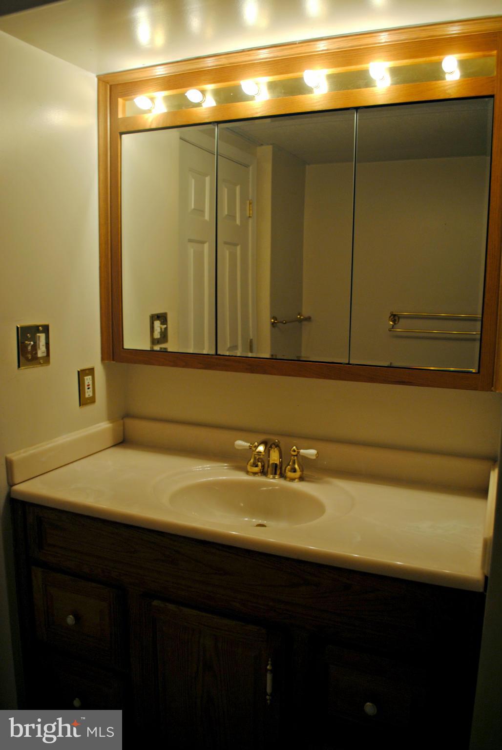 VILLAGE OF SILVER HALL - Residential Lease