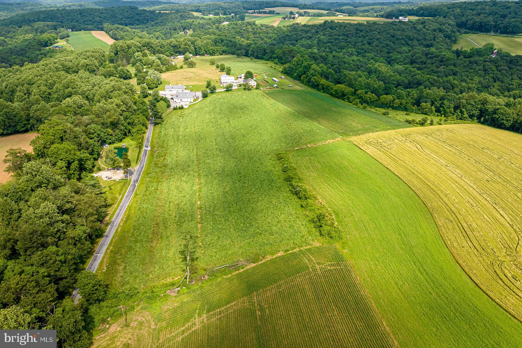 BROGUE - Farm
