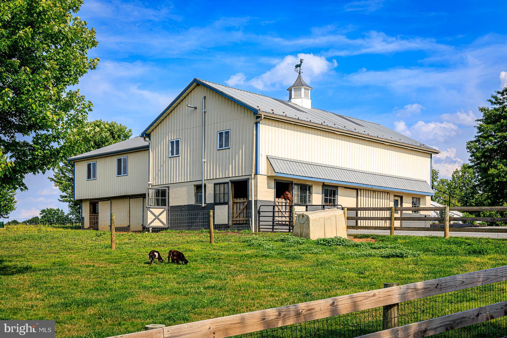 BROGUE - Farm