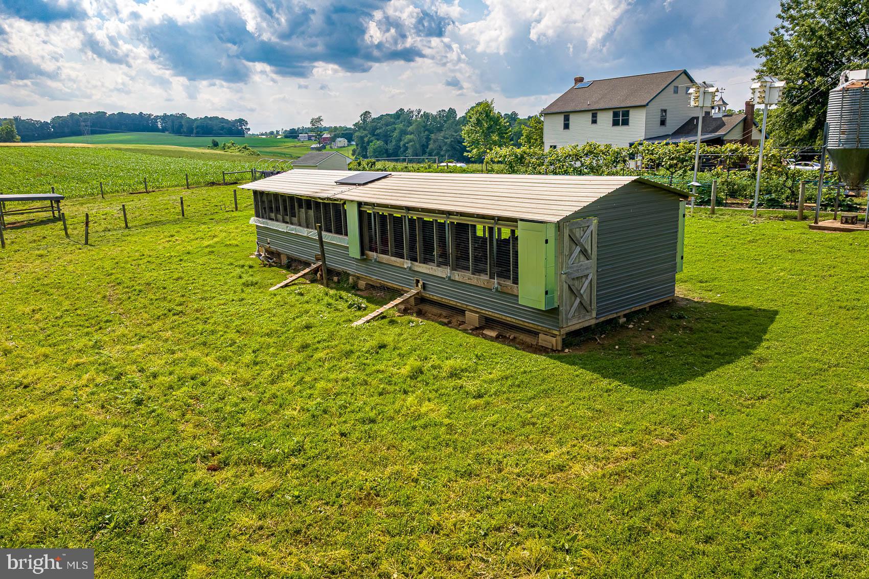 BROGUE - Farm