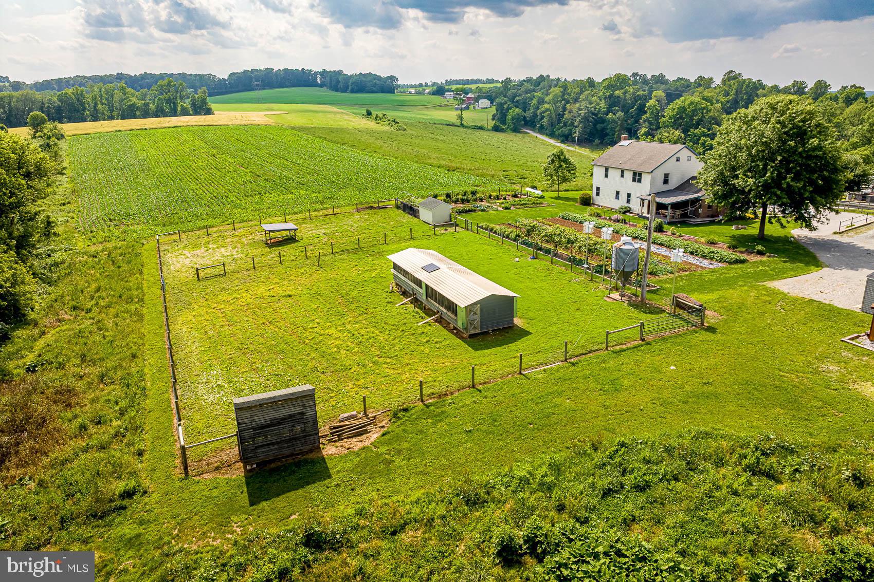 BROGUE - Farm