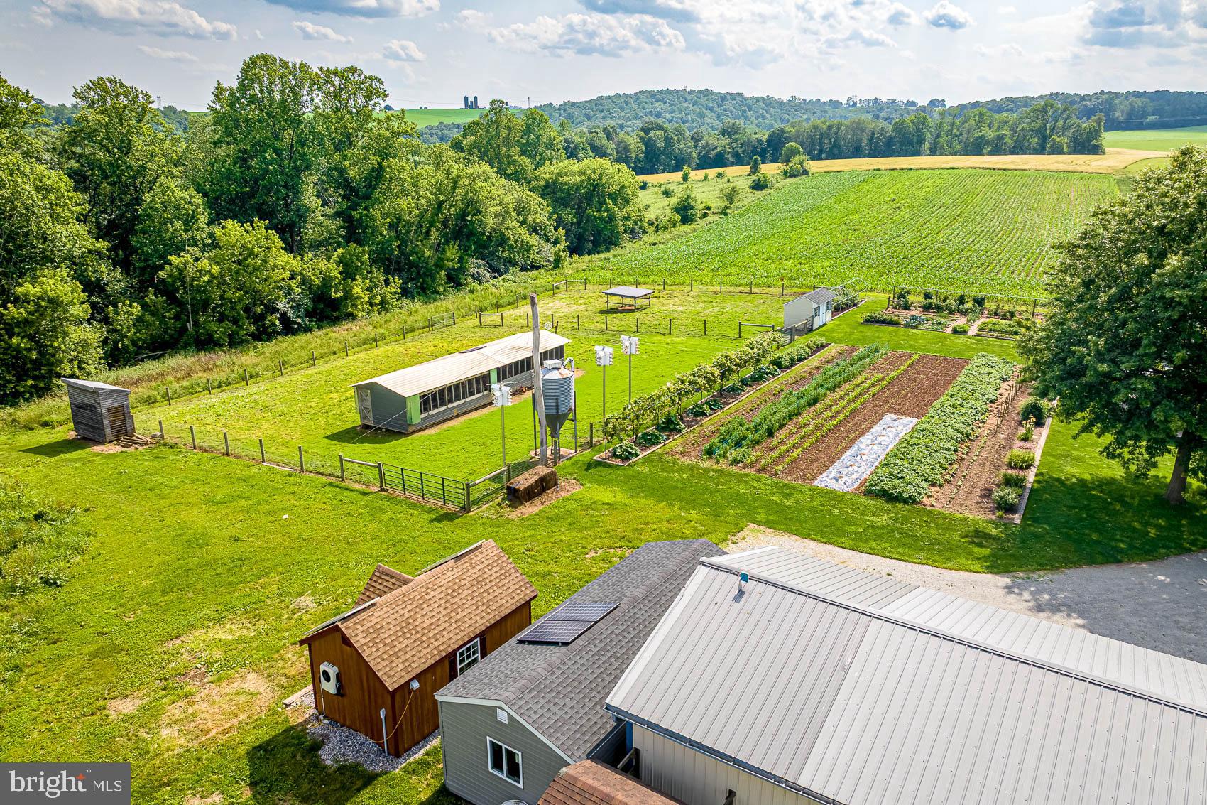 BROGUE - Farm