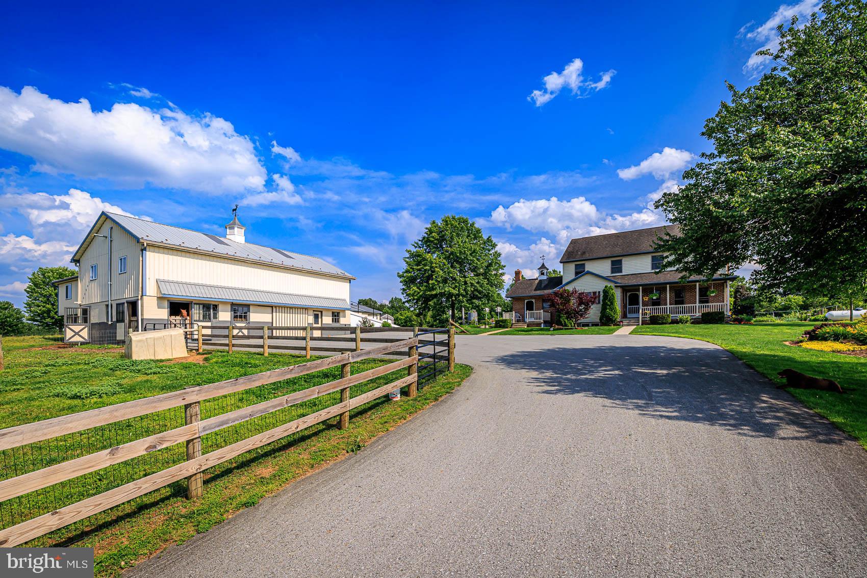 BROGUE - Farm