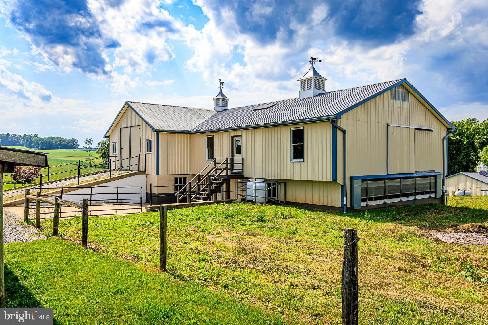 BROGUE - Farm