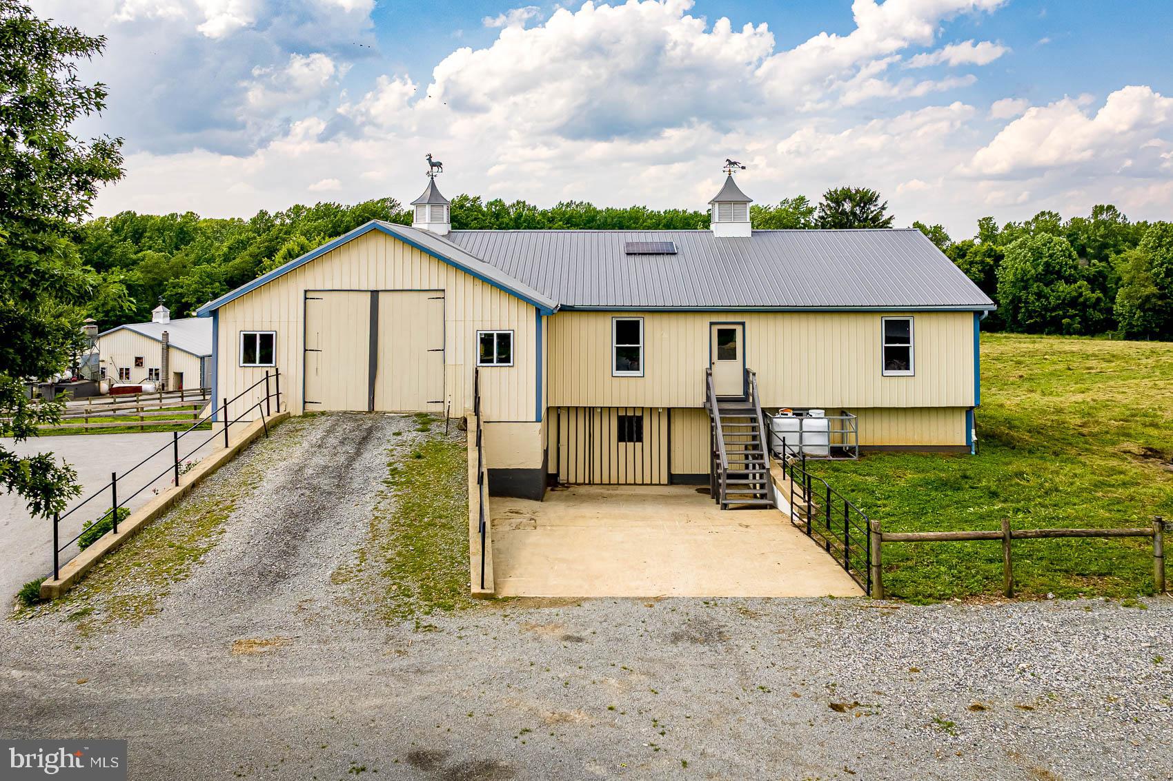 BROGUE - Farm