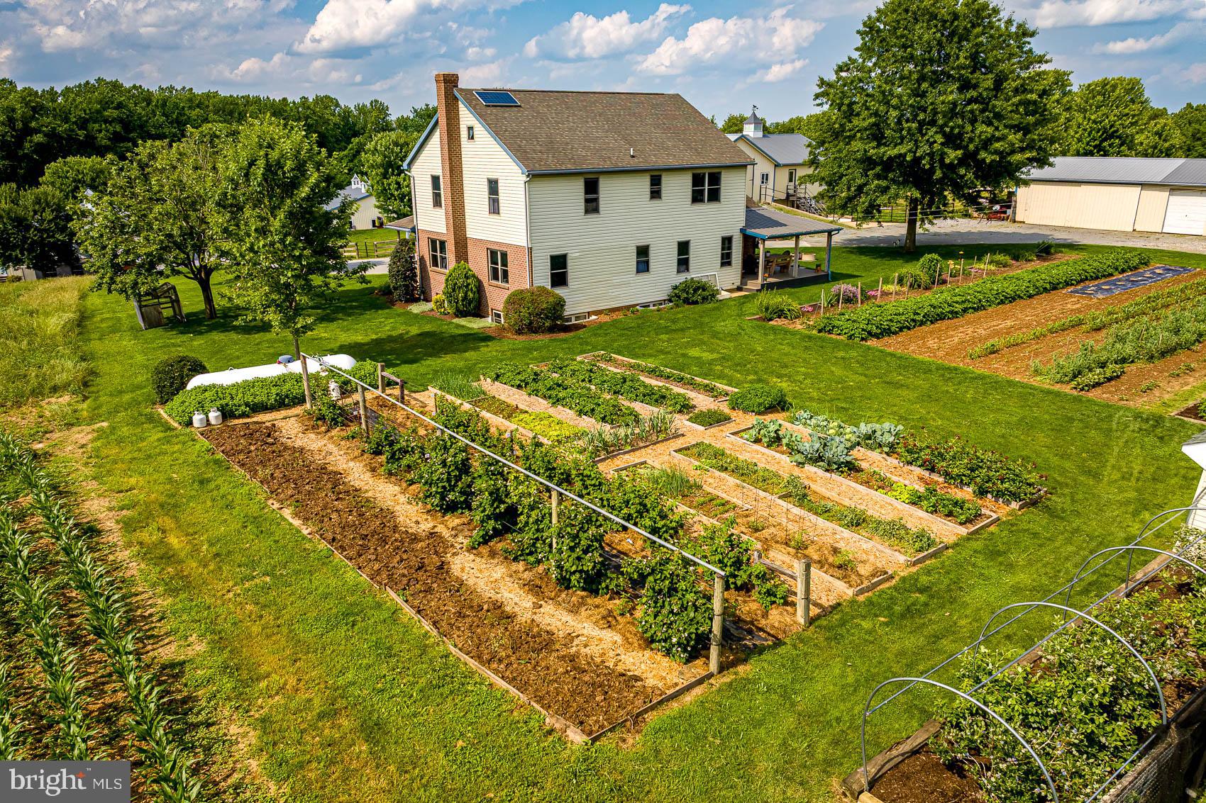 BROGUE - Farm