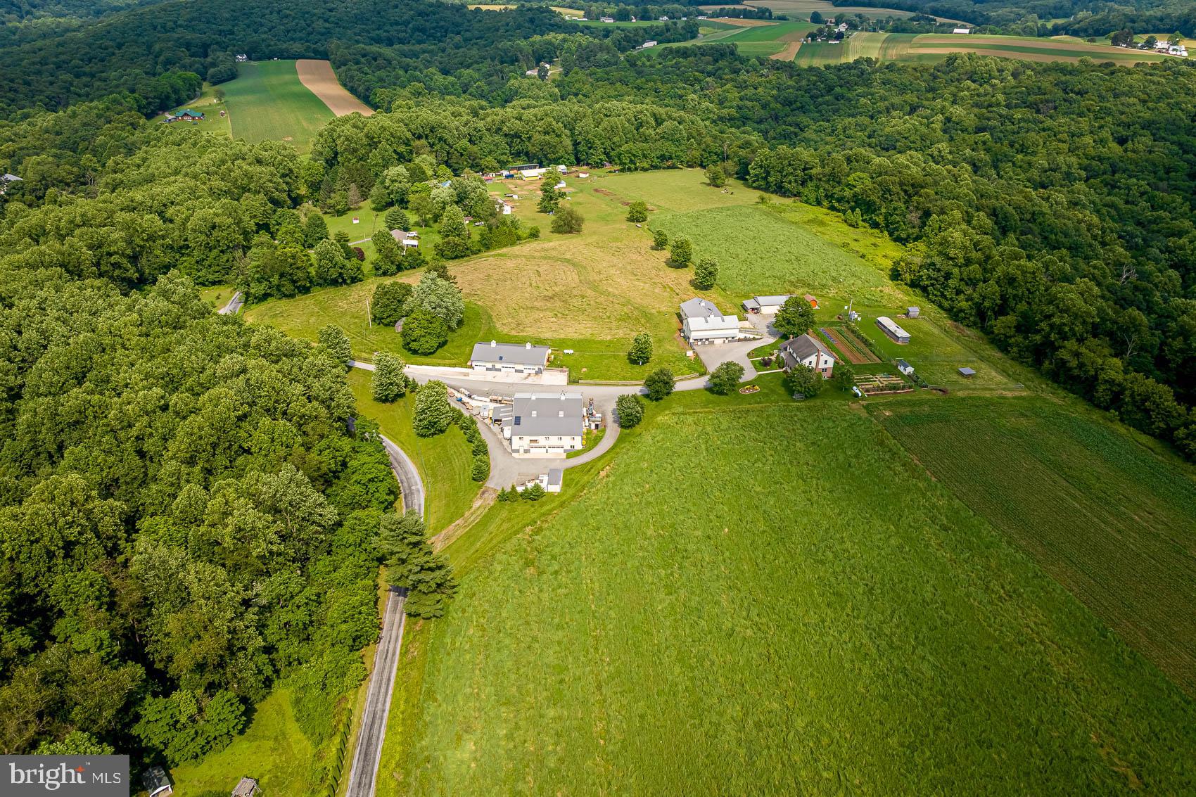 BROGUE - Farm