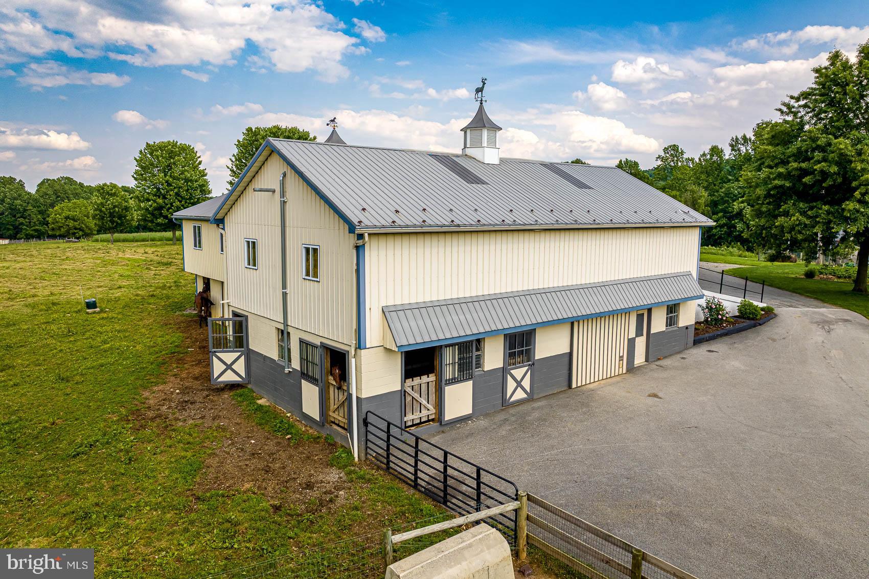 BROGUE - Farm