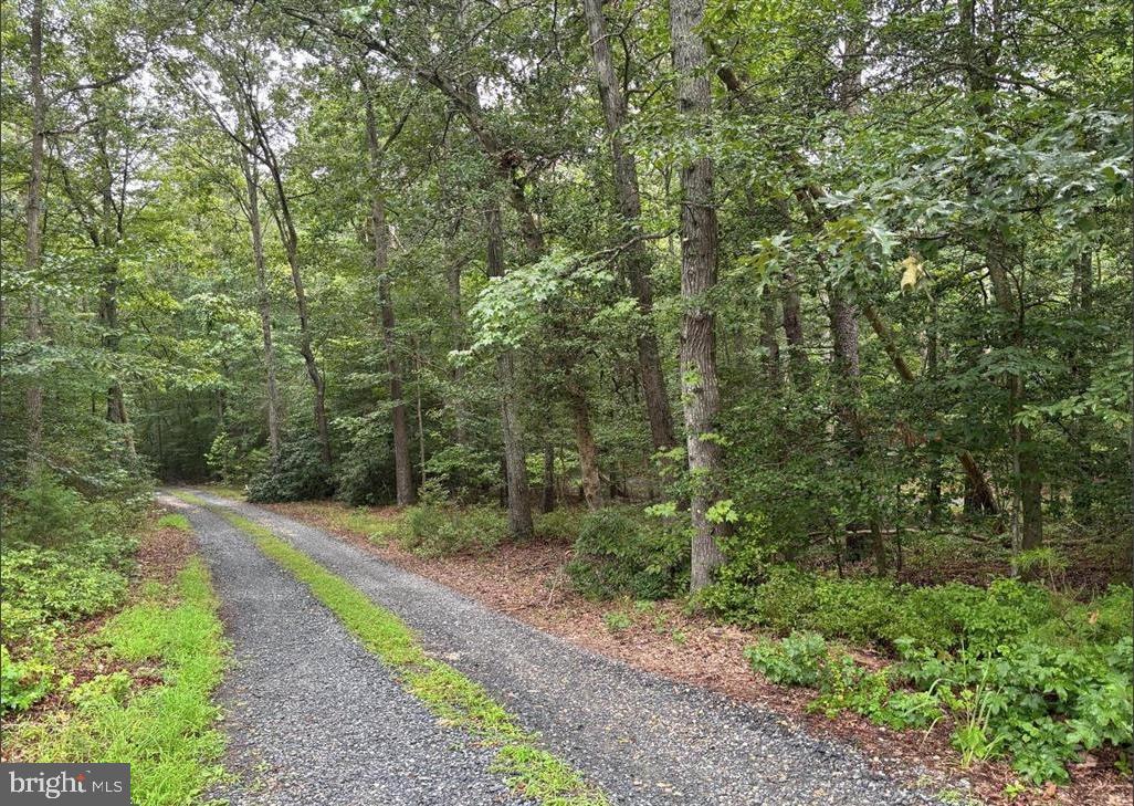 Discover Your Dream Build Site!

Look no further than this beautiful rural, wooded lot — a true oasis for your custom home. Nestled among upscale estate homes and surrounded by the serene beauty of nature, this buildable lot offers the perfect balance of privacy and convenience. Enjoy the tranquility of a peaceful setting while being just minutes from schools, shops, and major commuter routes.

Endless possibilities await to create your perfect custom home in this idyllic location. Don’t miss this rare opportunity to build your dream retreat away from the hustle and bustle!