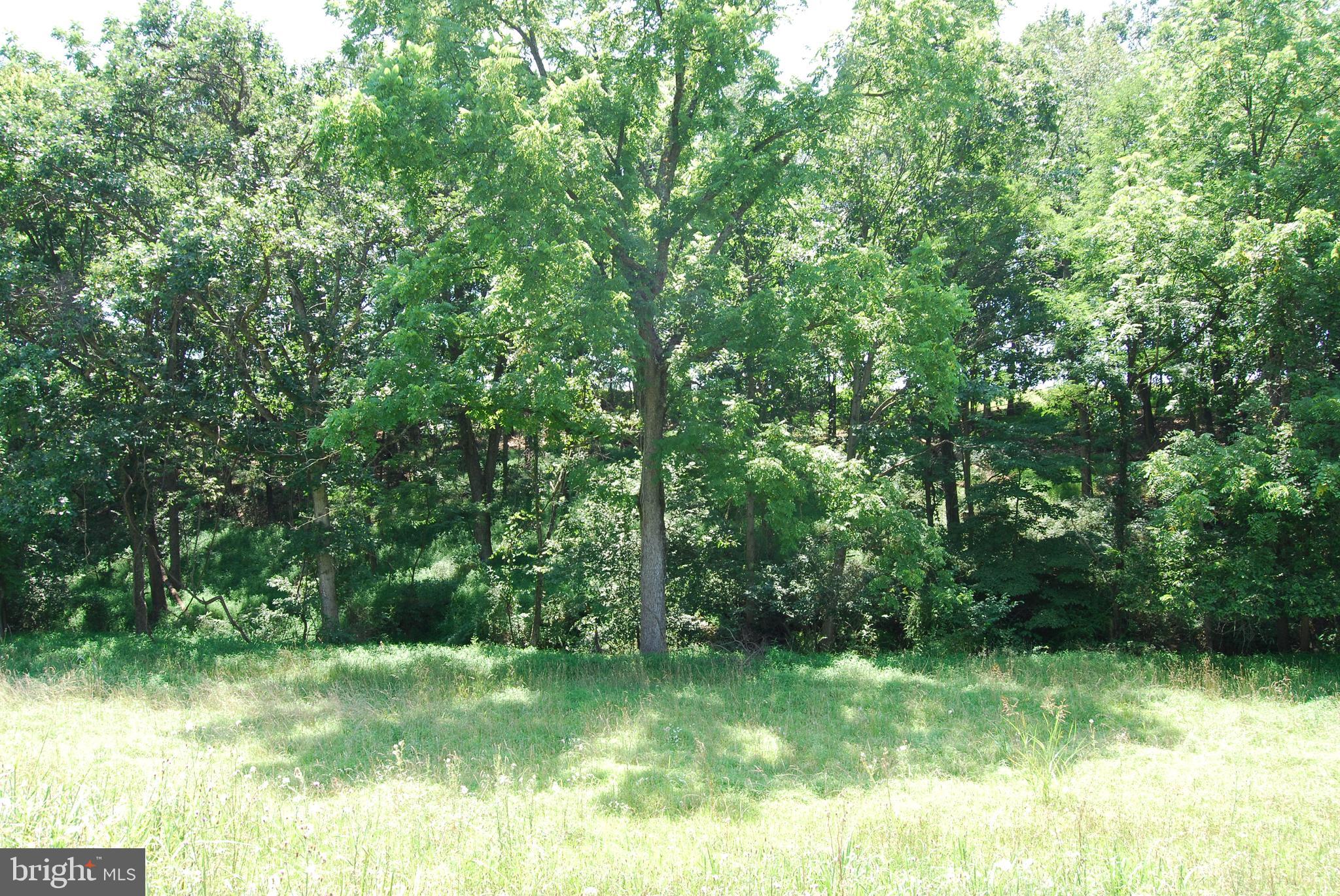 FOREST HEIGHTS - Farm