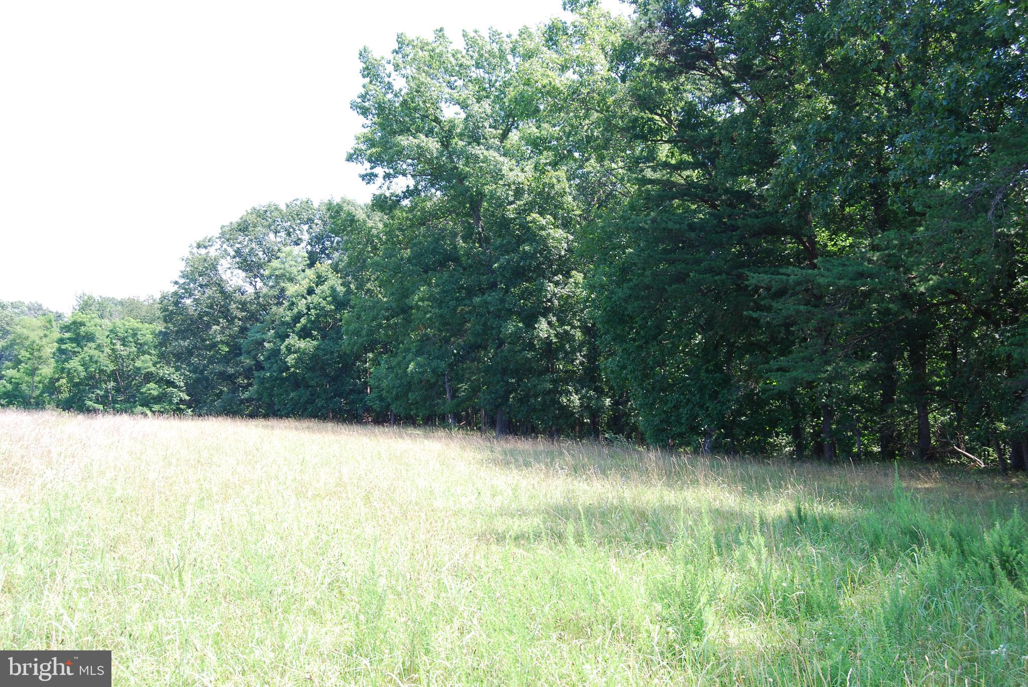 FOREST HEIGHTS - Farm
