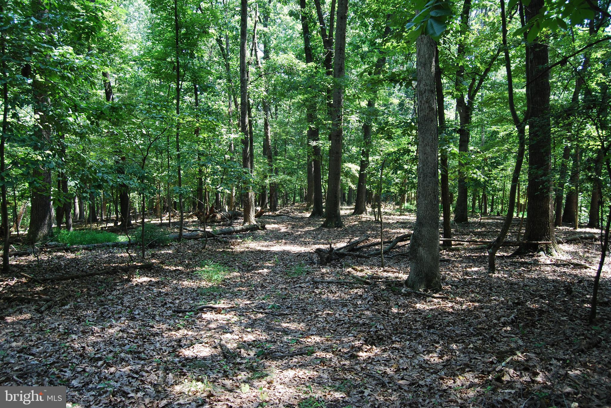 FOREST HEIGHTS - Farm