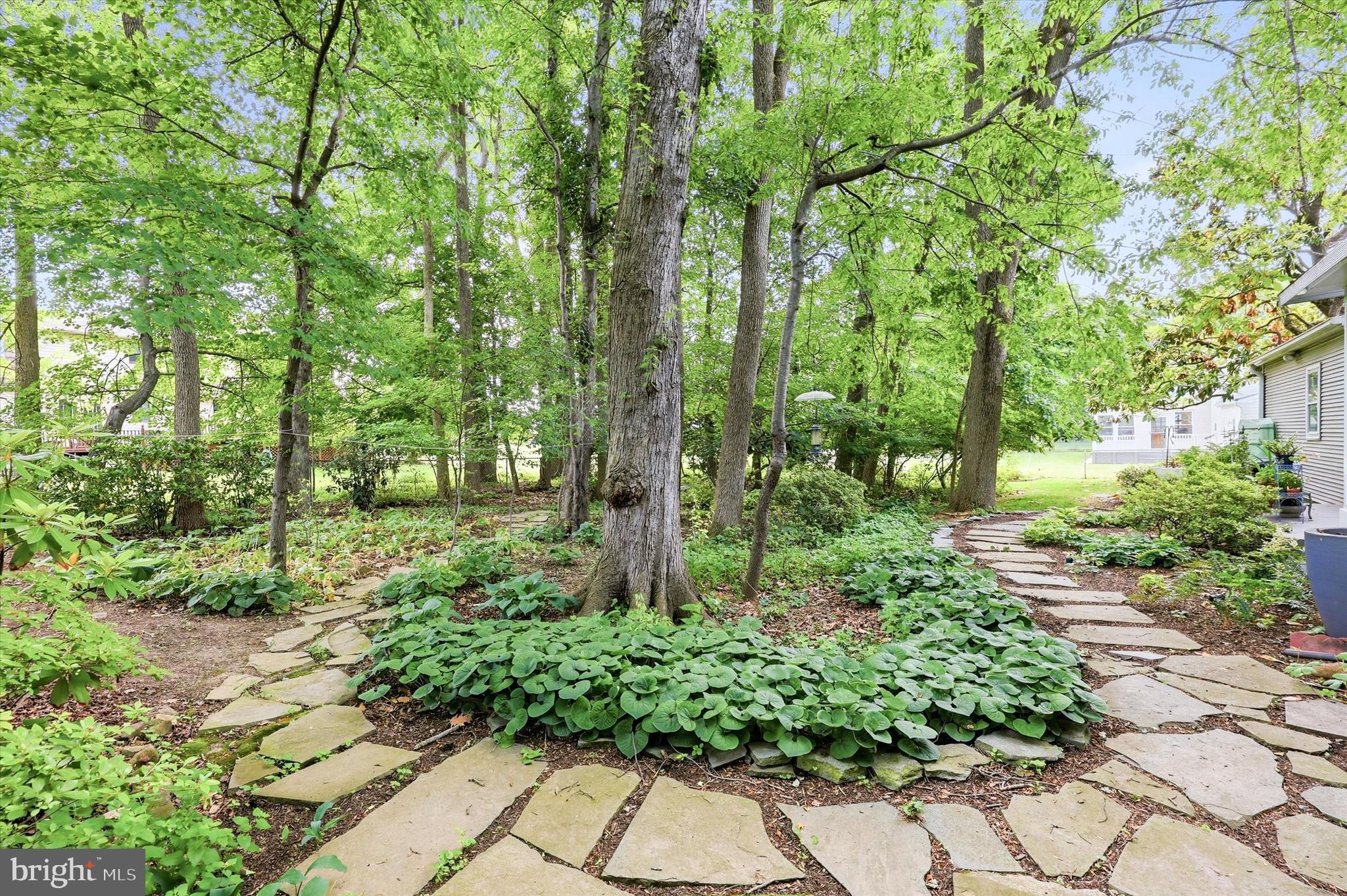 BUCKRIDGE FARMS - Residential