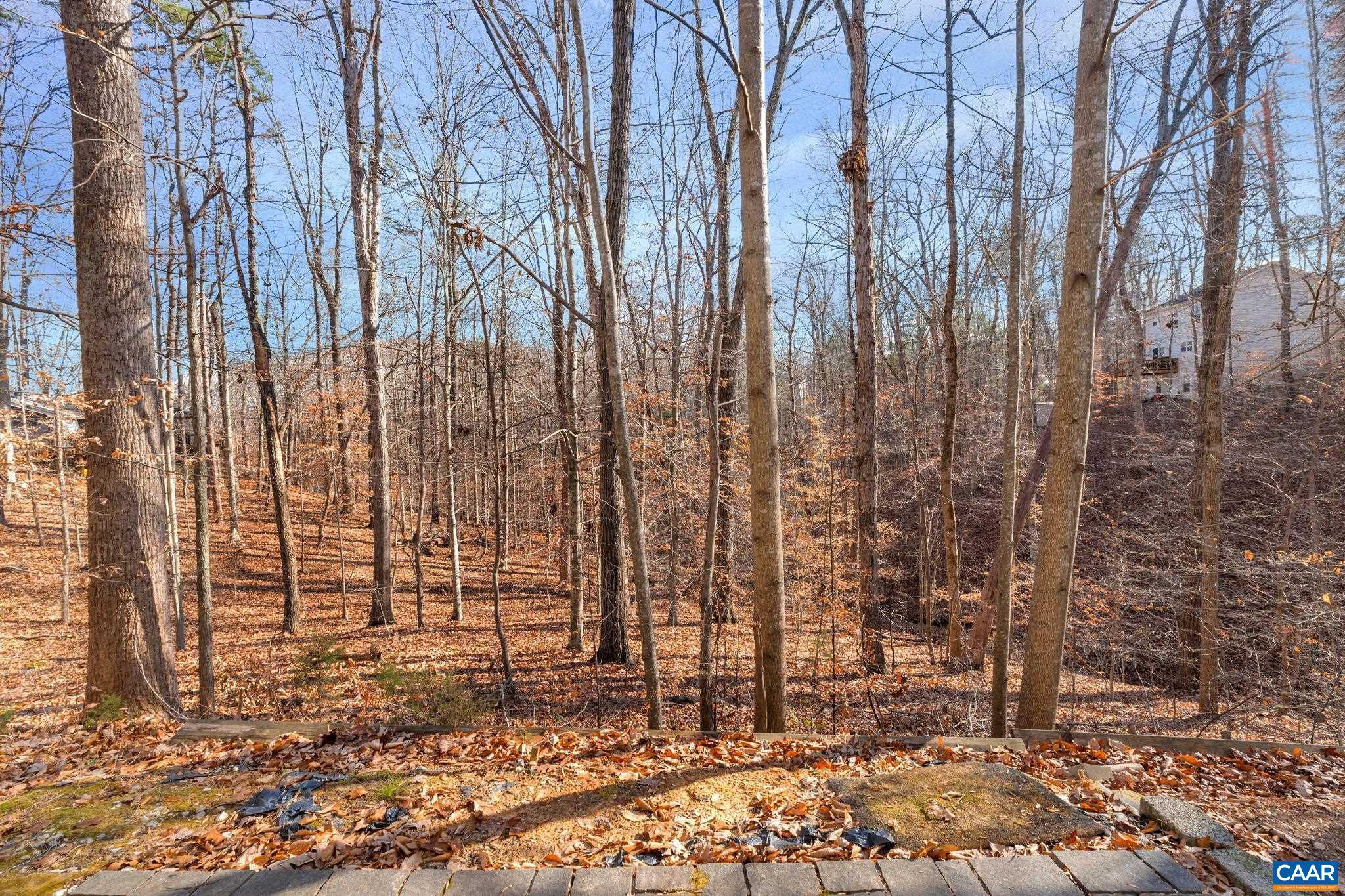 LAKE MONTICELLO - Residential