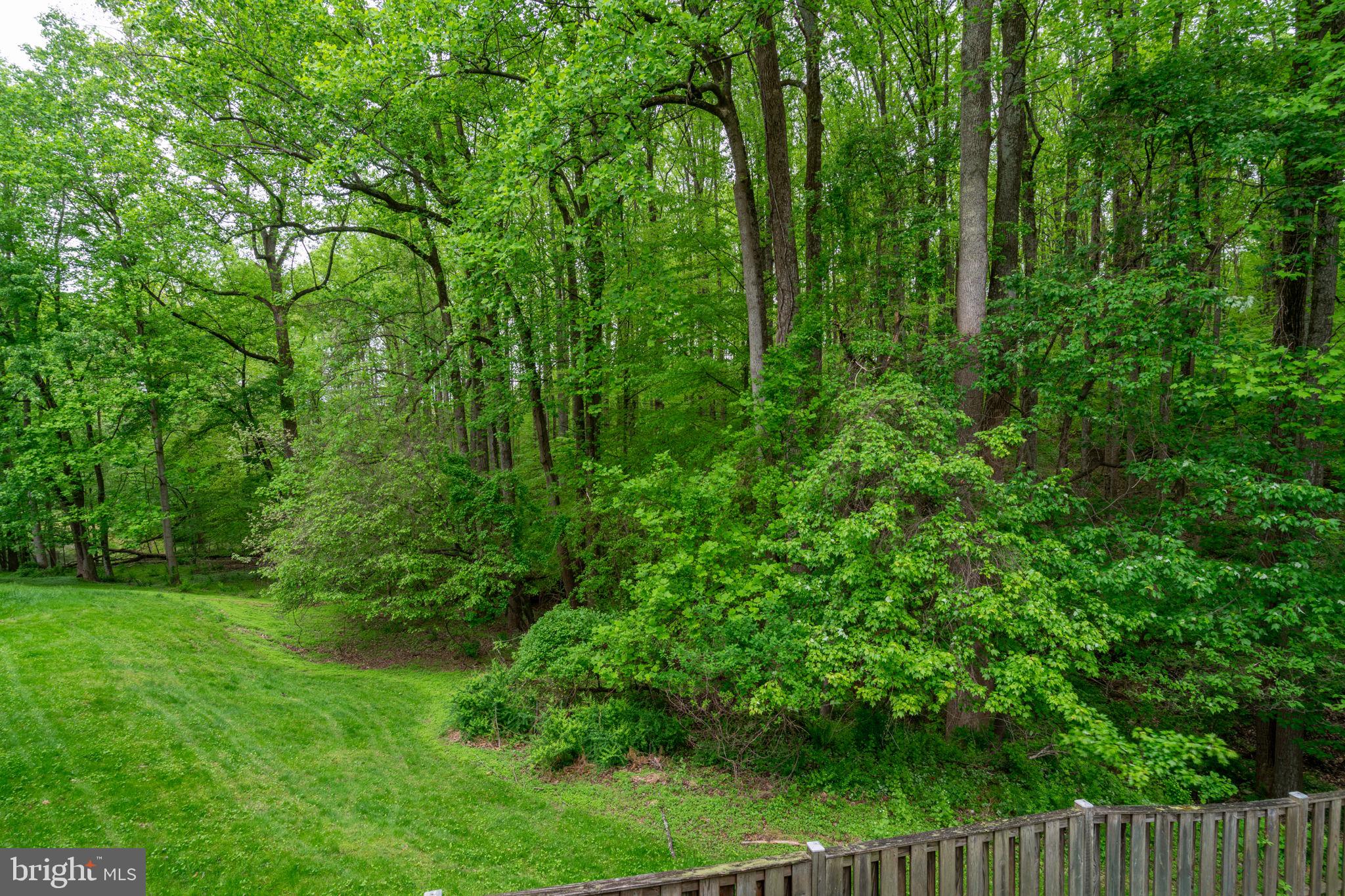 BONIFANT WOODS - Residential