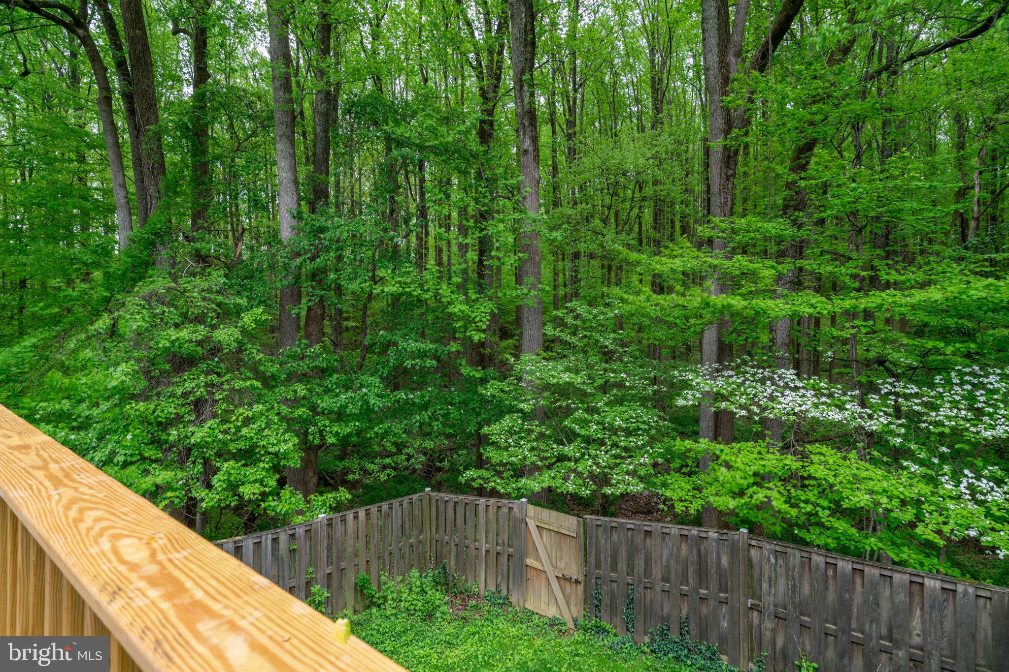 BONIFANT WOODS - Residential
